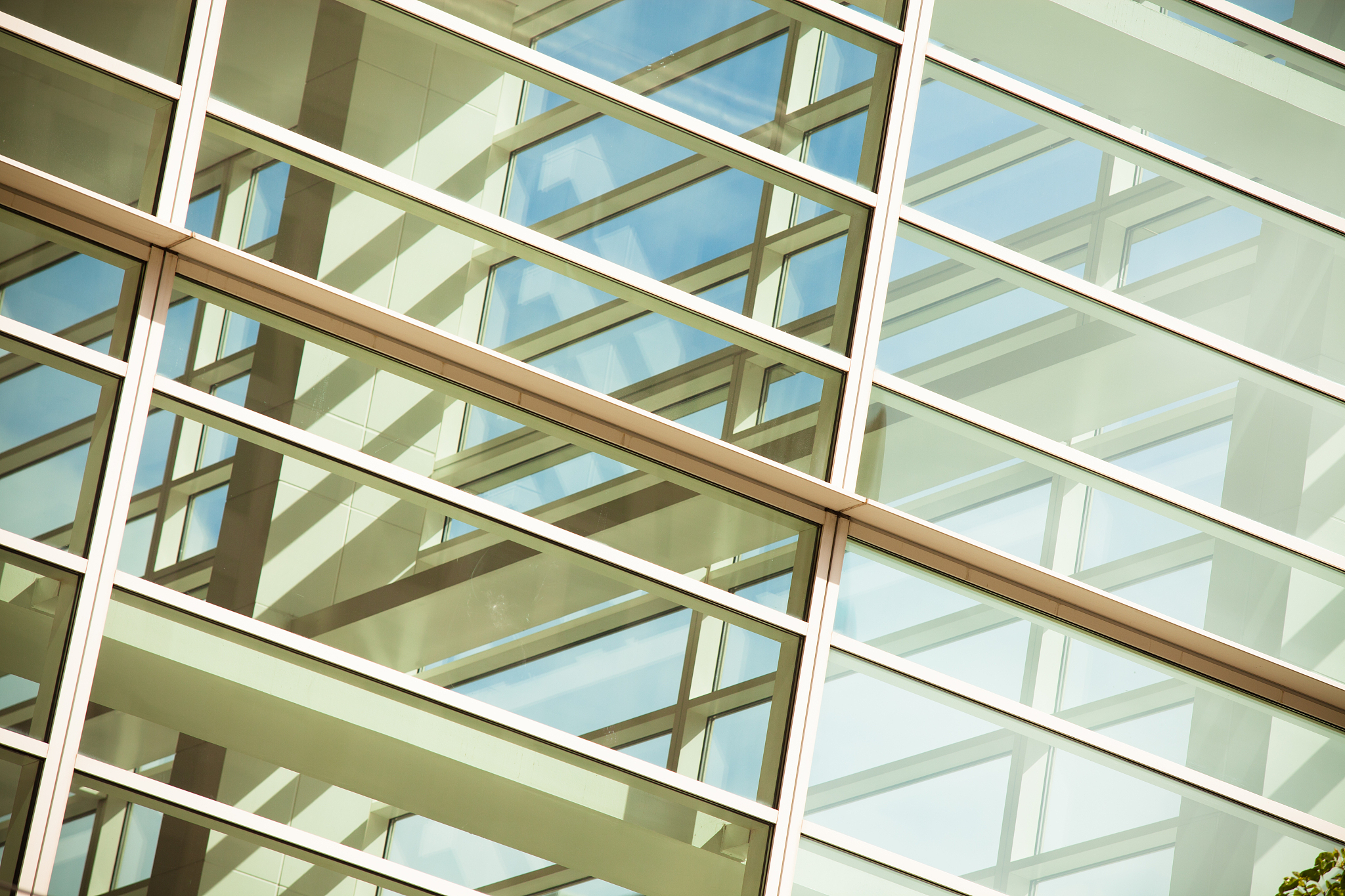 modern corporate glass architecture
