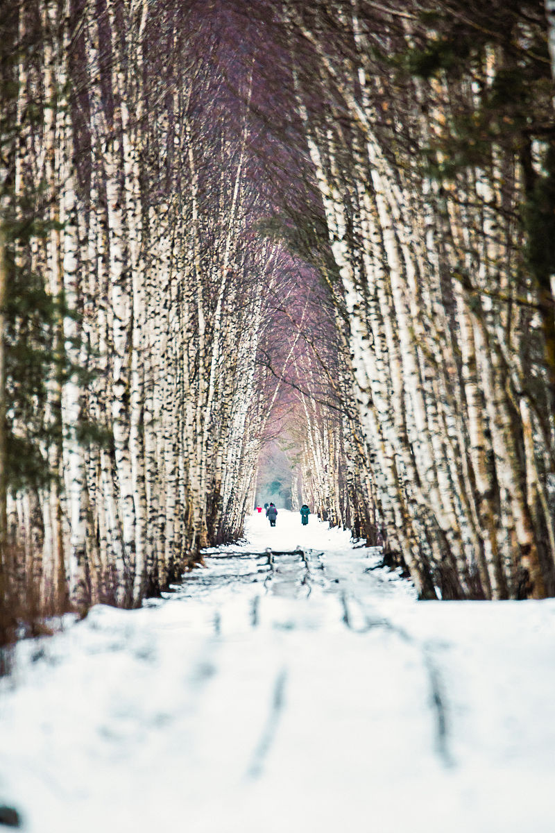 重庆2020年读铁路学校什么专业最好