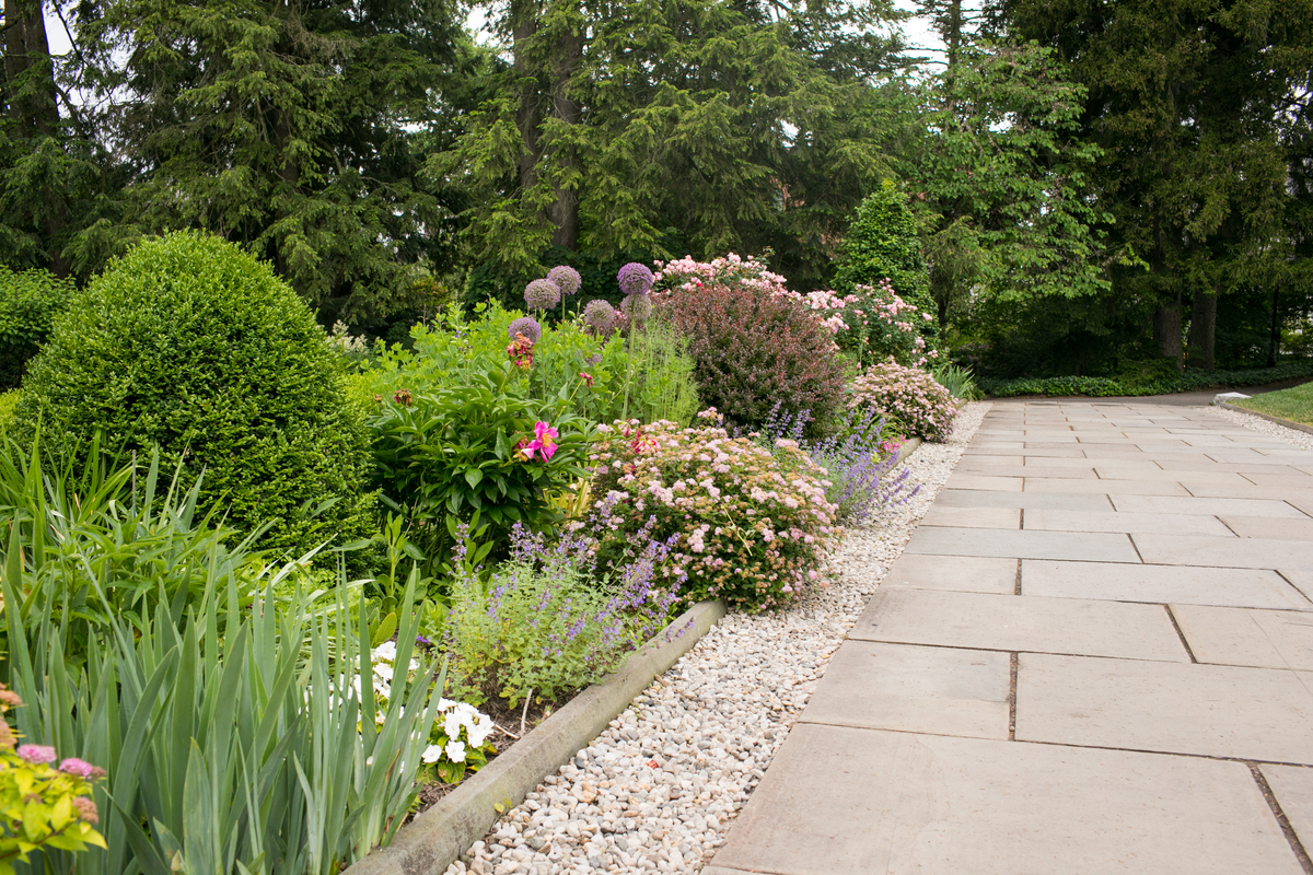 植物在景观上的作用