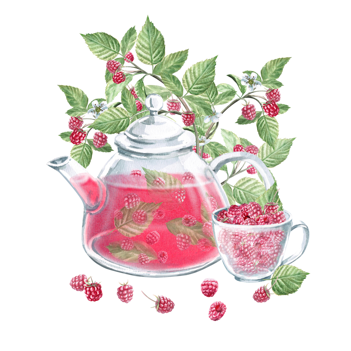 一个透明的茶壶,里面装着覆盆子茶,还有一个放着浆果.