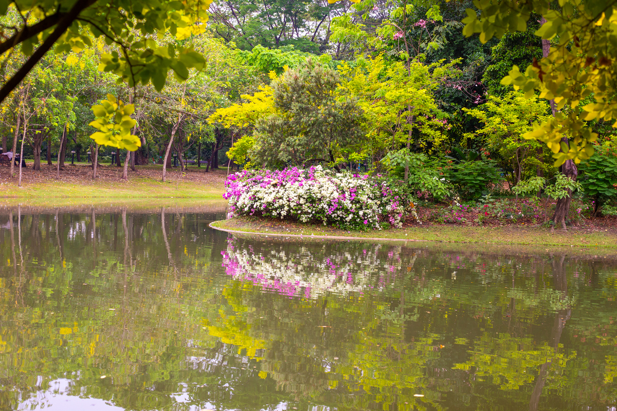生态旅游对于南京中山植物园的学术价值