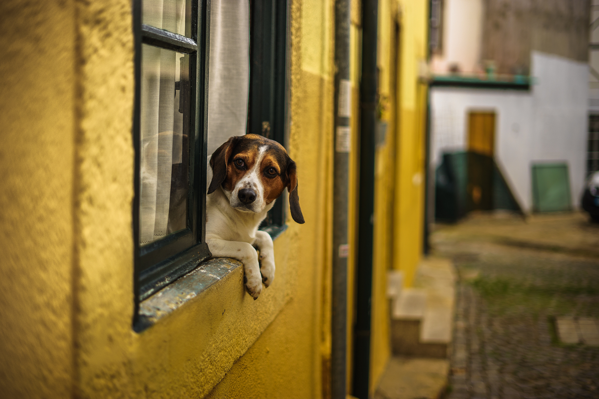 卵石不敌是什么意思