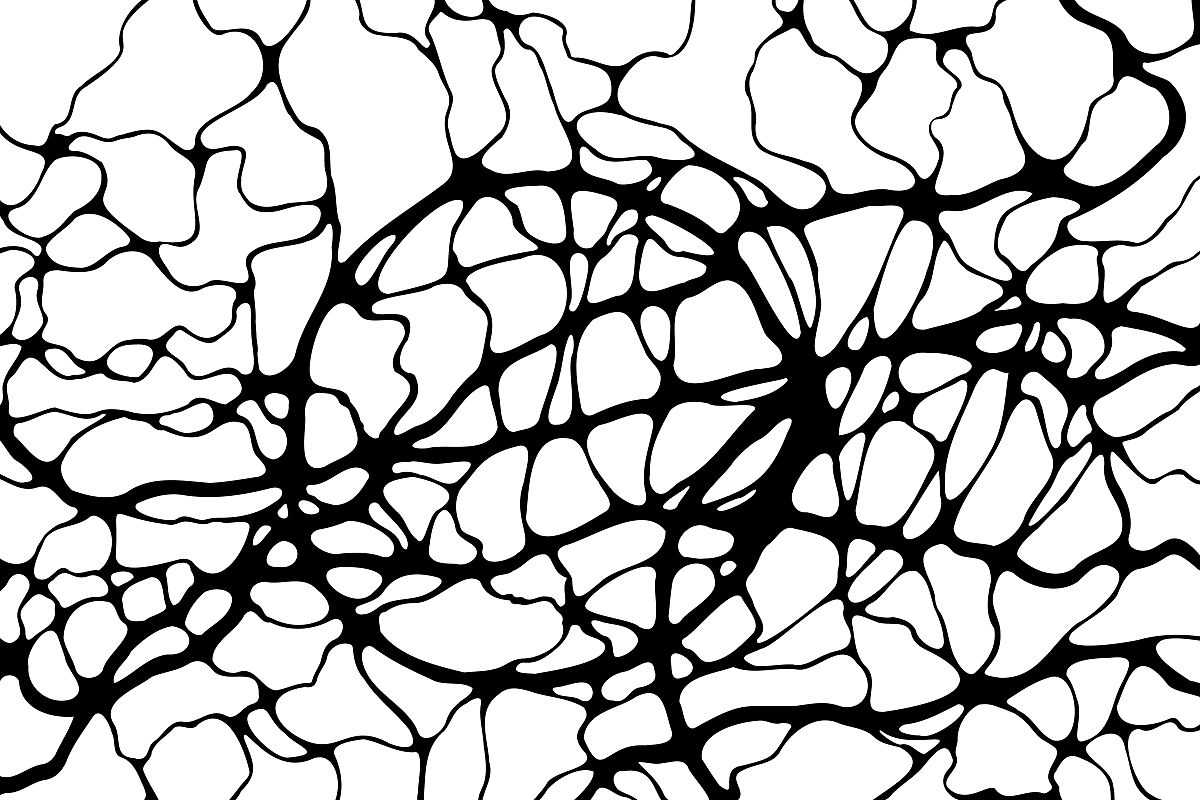 根据题目论《西游记》中孙悟空悲剧的人物形象写一个拟采用的研究方法和手段