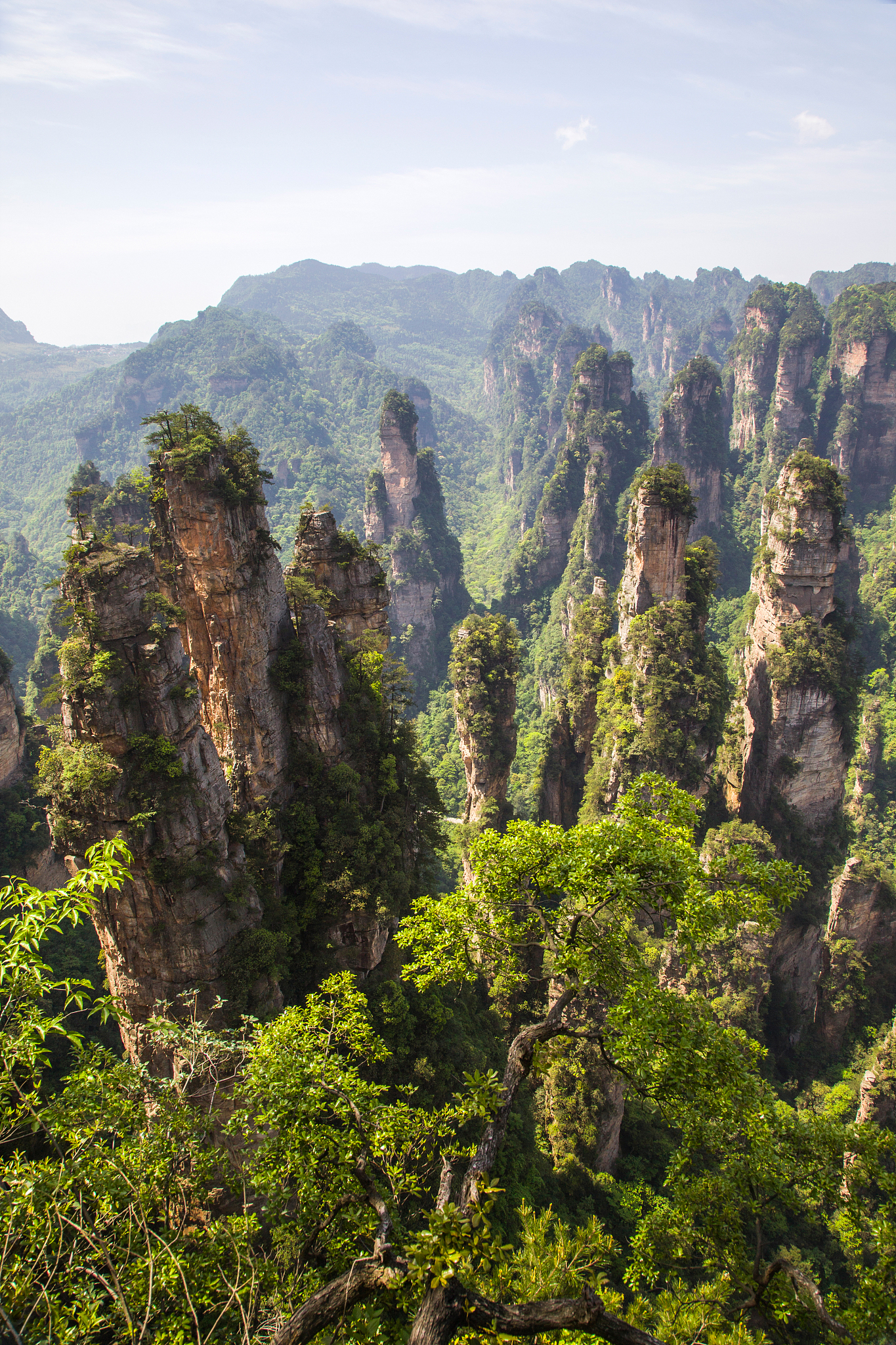 你见过什么样的中国？是960万平方公里的辽阔还是300万平方公里的澎湃？是四季轮转的天地还是冰与火演奏的乐章？像鸟儿一样离开地面冲上云霄结果超乎你的想象。前往平时无法到达的地方看见专属于高空的奇观俯瞰这片朝夕相处的大地再熟悉的景象也变了一副模样。接着上文写不少于800字