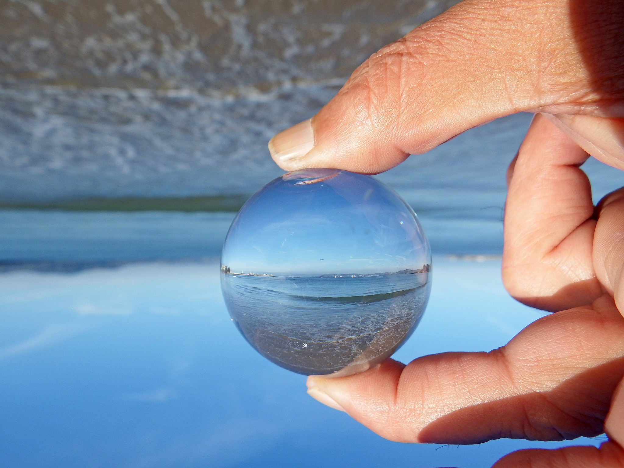 nature through a glass sphere