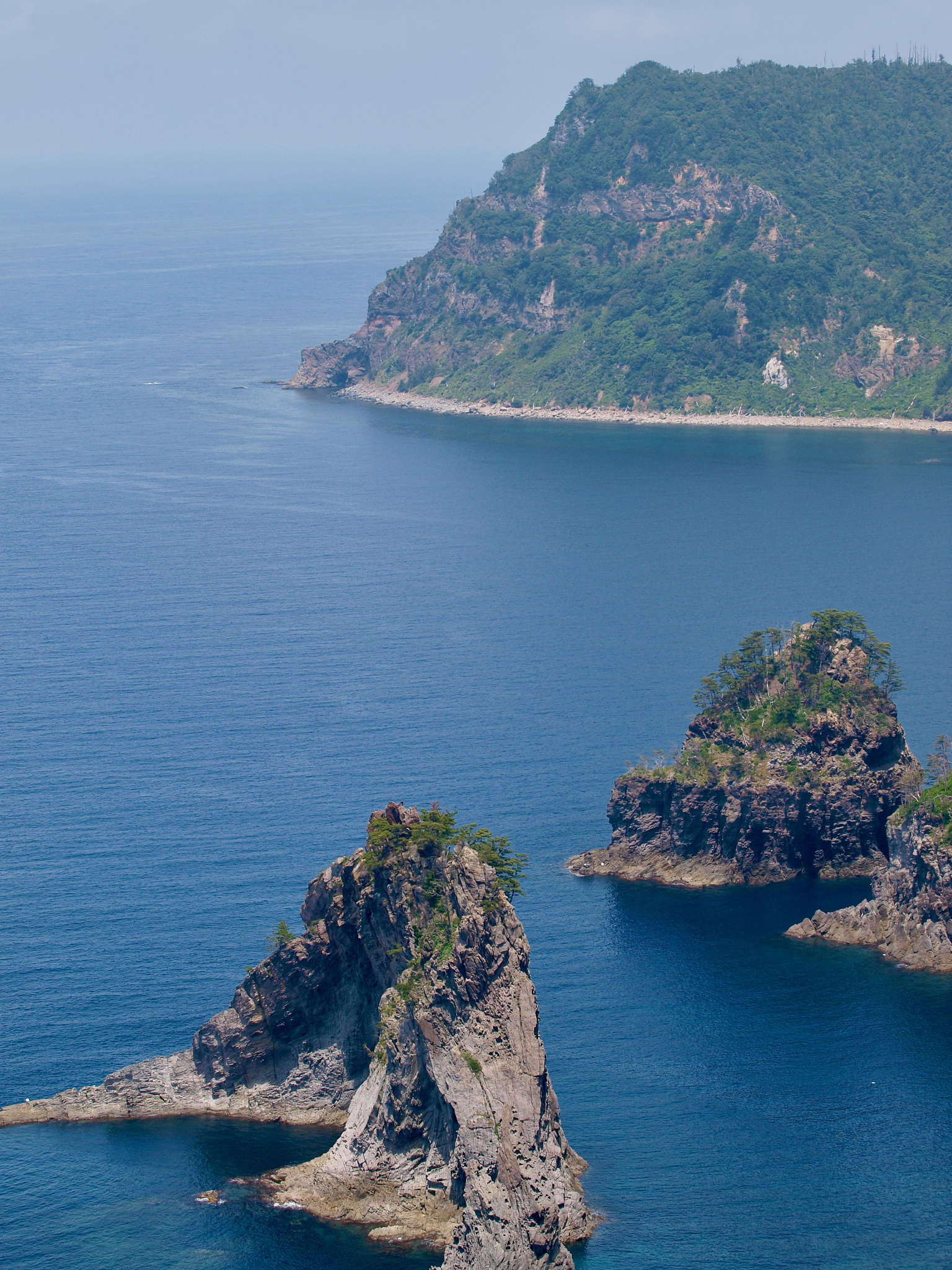日本国际交友网站