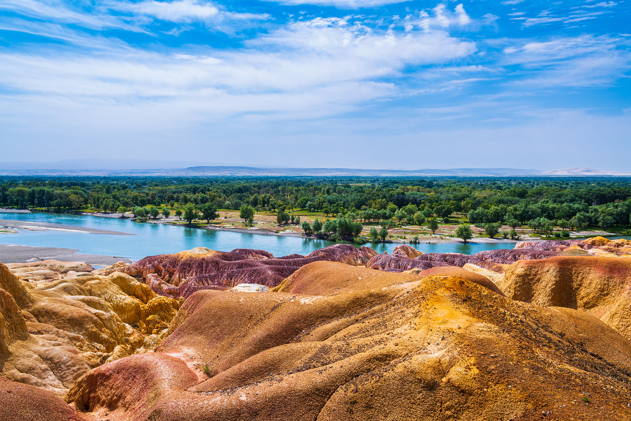 闽西职业技术学院旅游管理专业课程设置有哪些