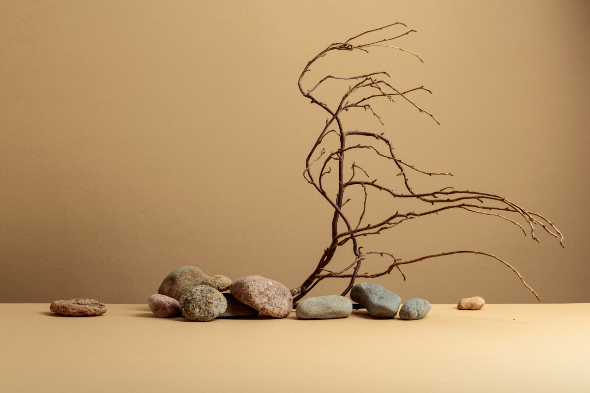 侘寂艺术：日本美学中的宁静与简朴