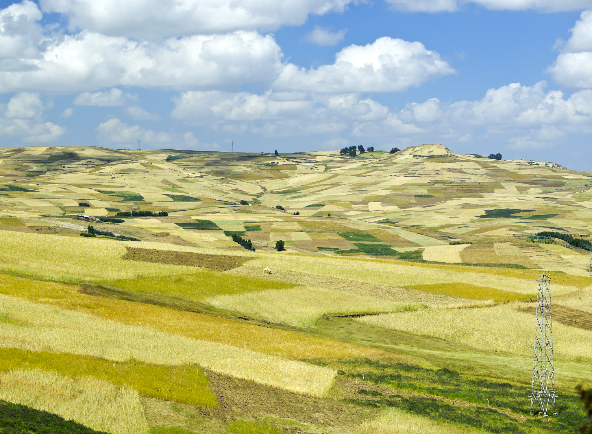 rural fields