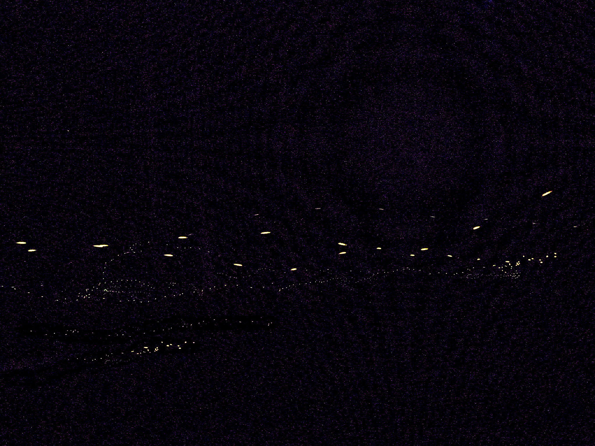 firefly