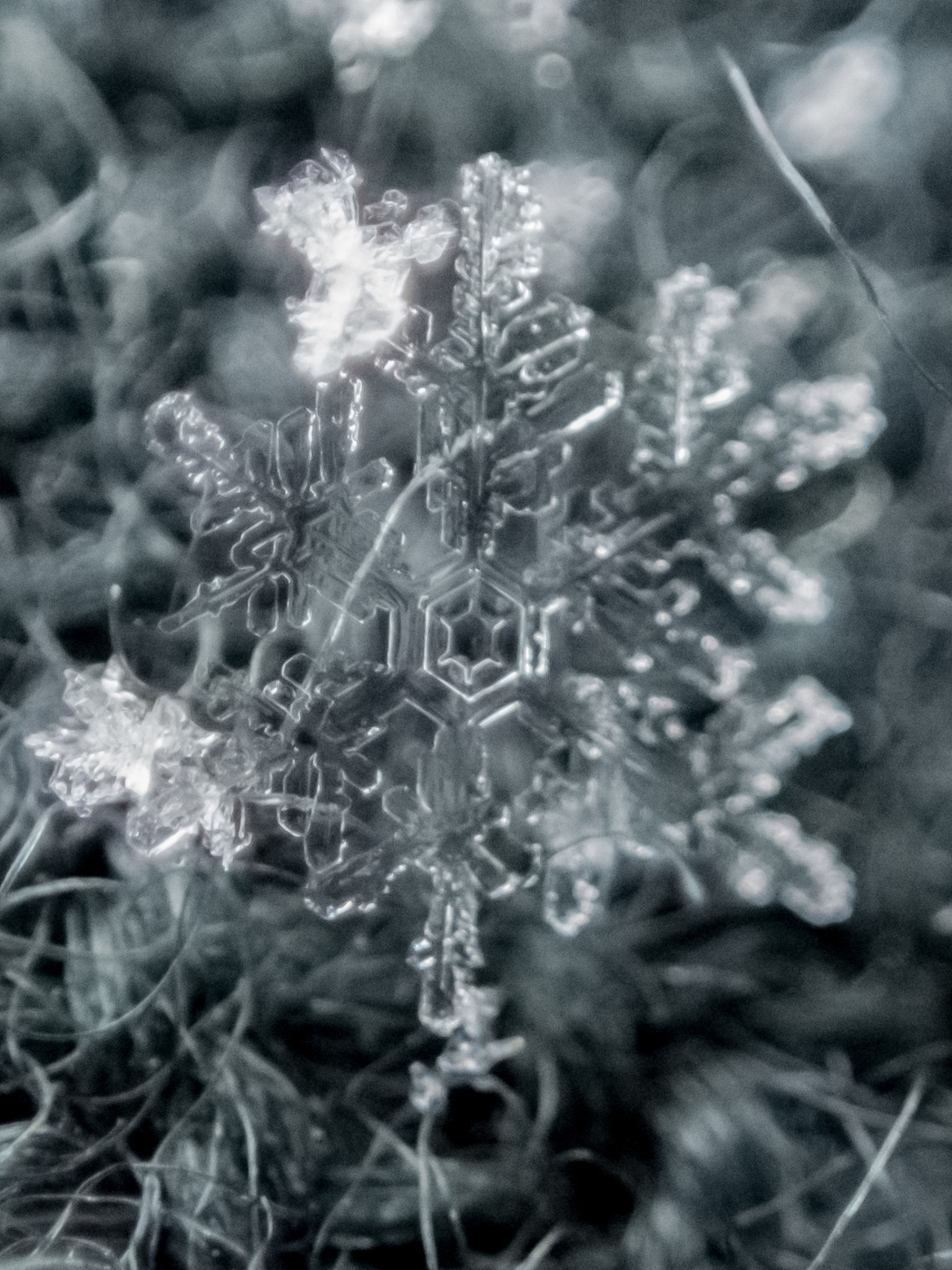 翻译：雪粒的空间分布