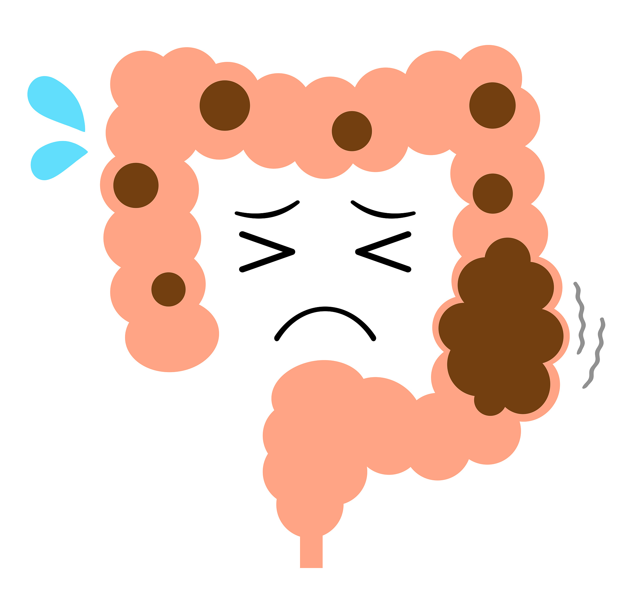 犊牛新蛔虫病诊断方法详解：临床症状、粪便检测、血清学检测等