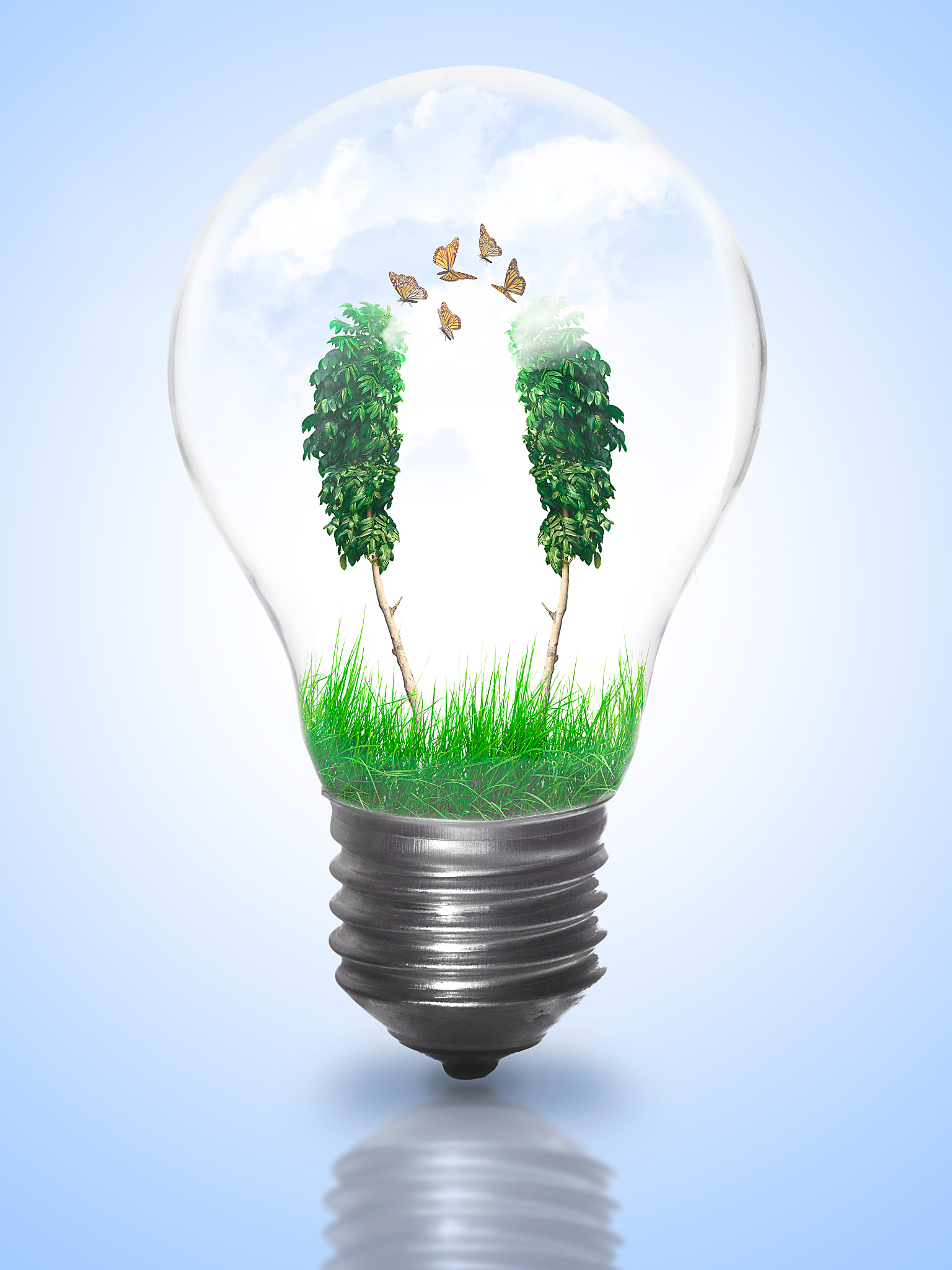 从煤油灯到LED灯：太奶奶教我节约用电