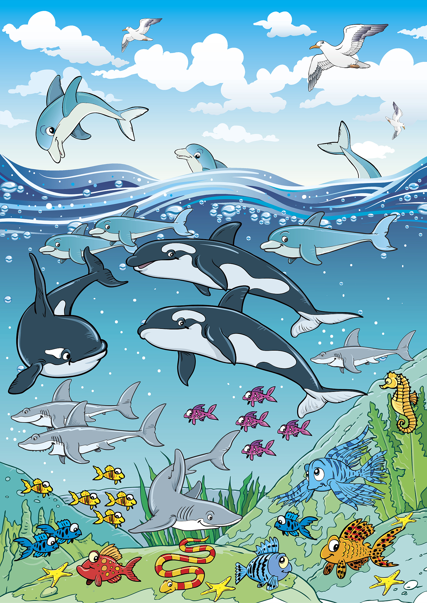 中国海洋保护行动实录：探索蔚蓝奇迹