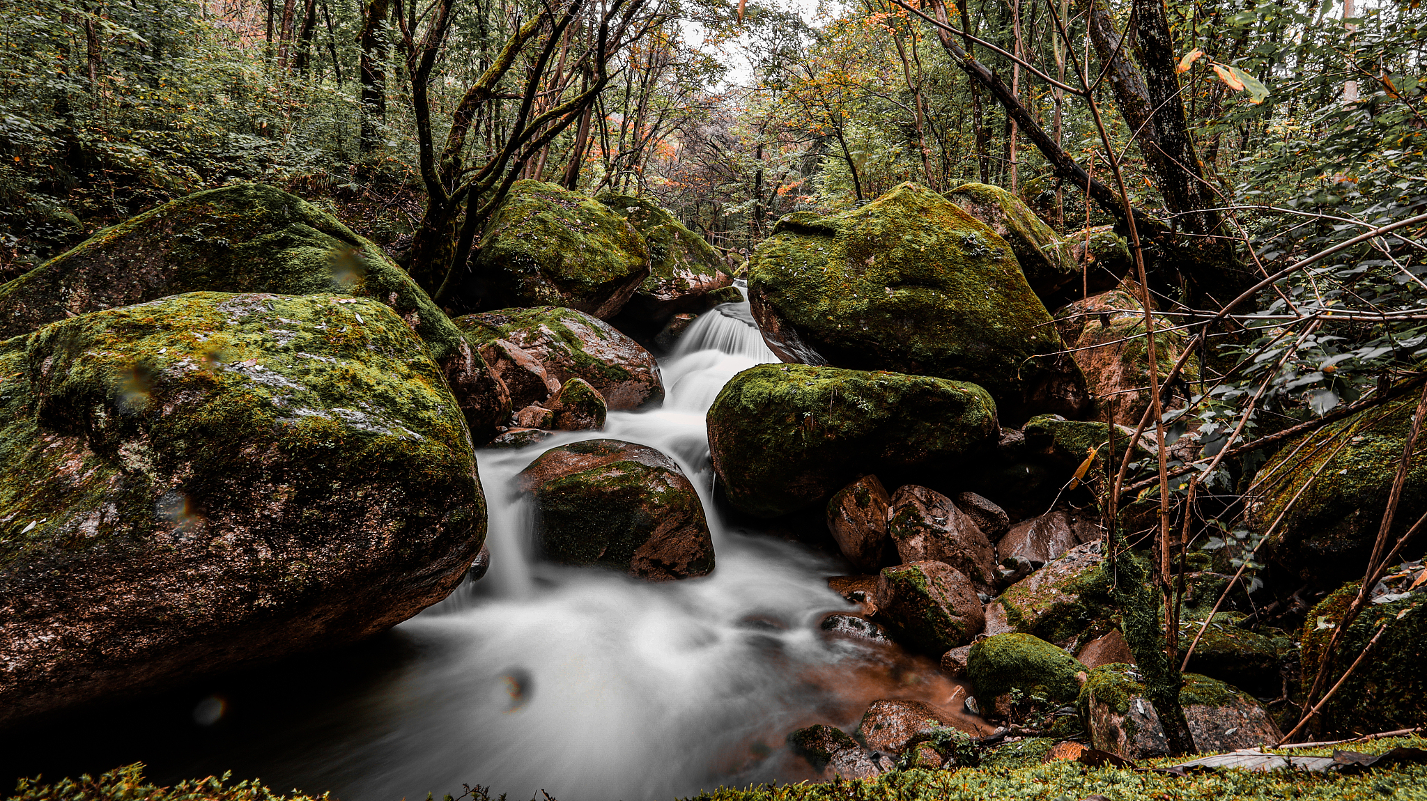 甘肃工程造价信息网 - 甘肃省造价信息权威平台