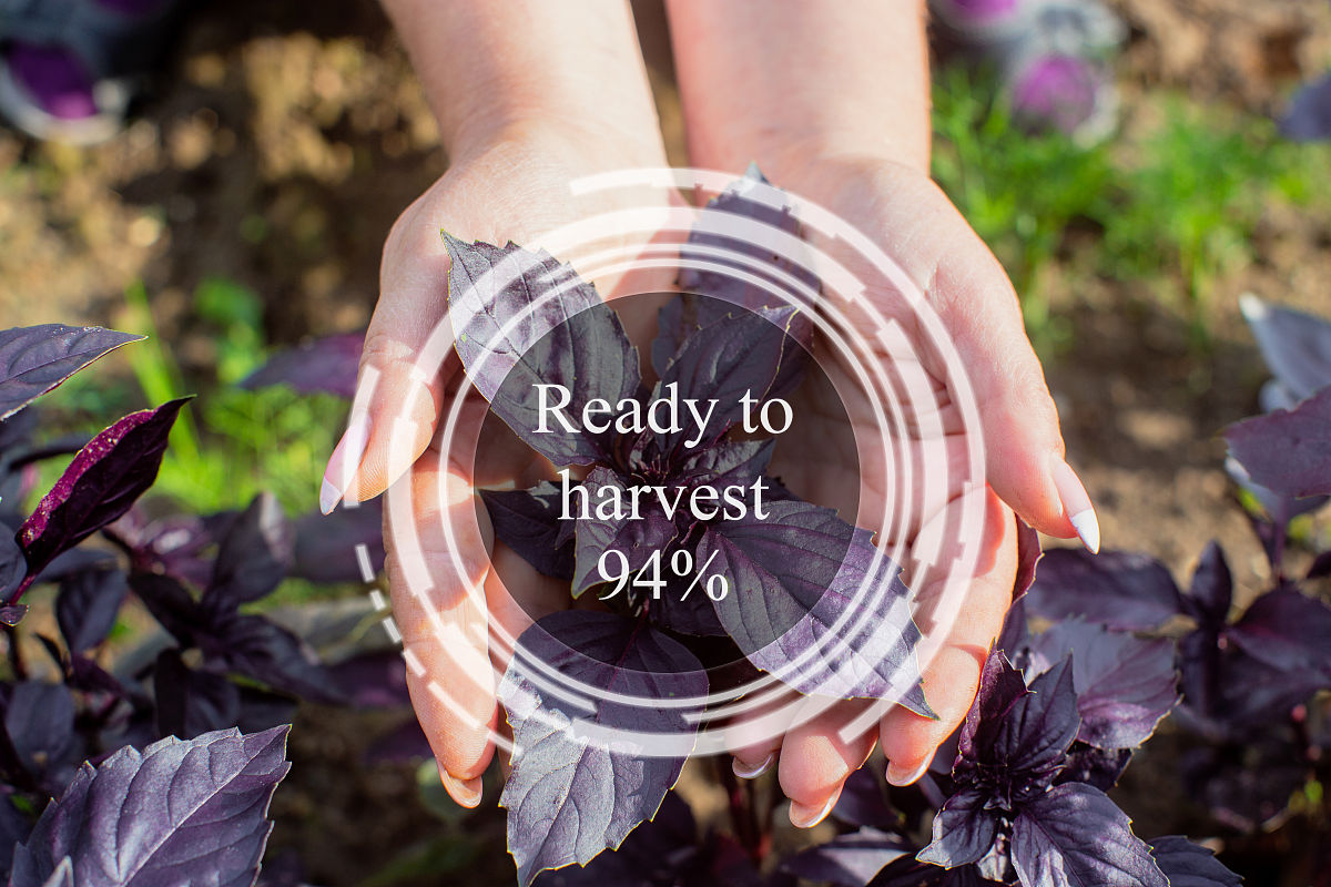 济宁农业学校2020年招生简章