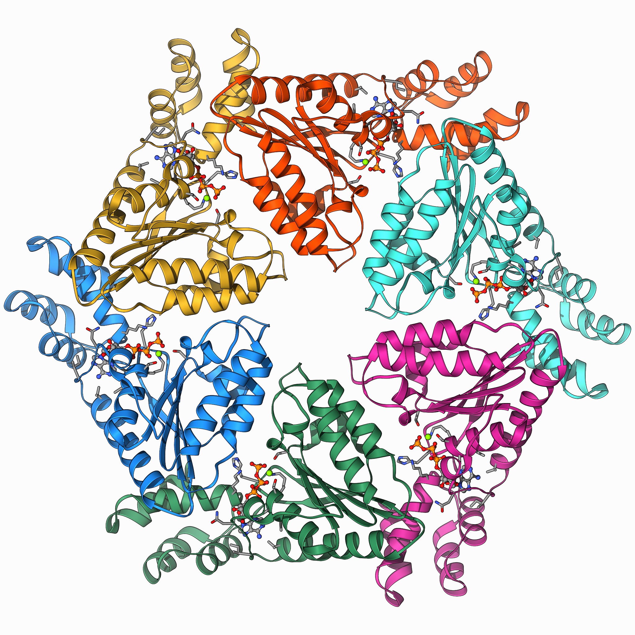 基质金属蛋白酶家族研究进展这个家族一共有多少个成员有多少已经研究出来了多少还没有研究出来要求3000字