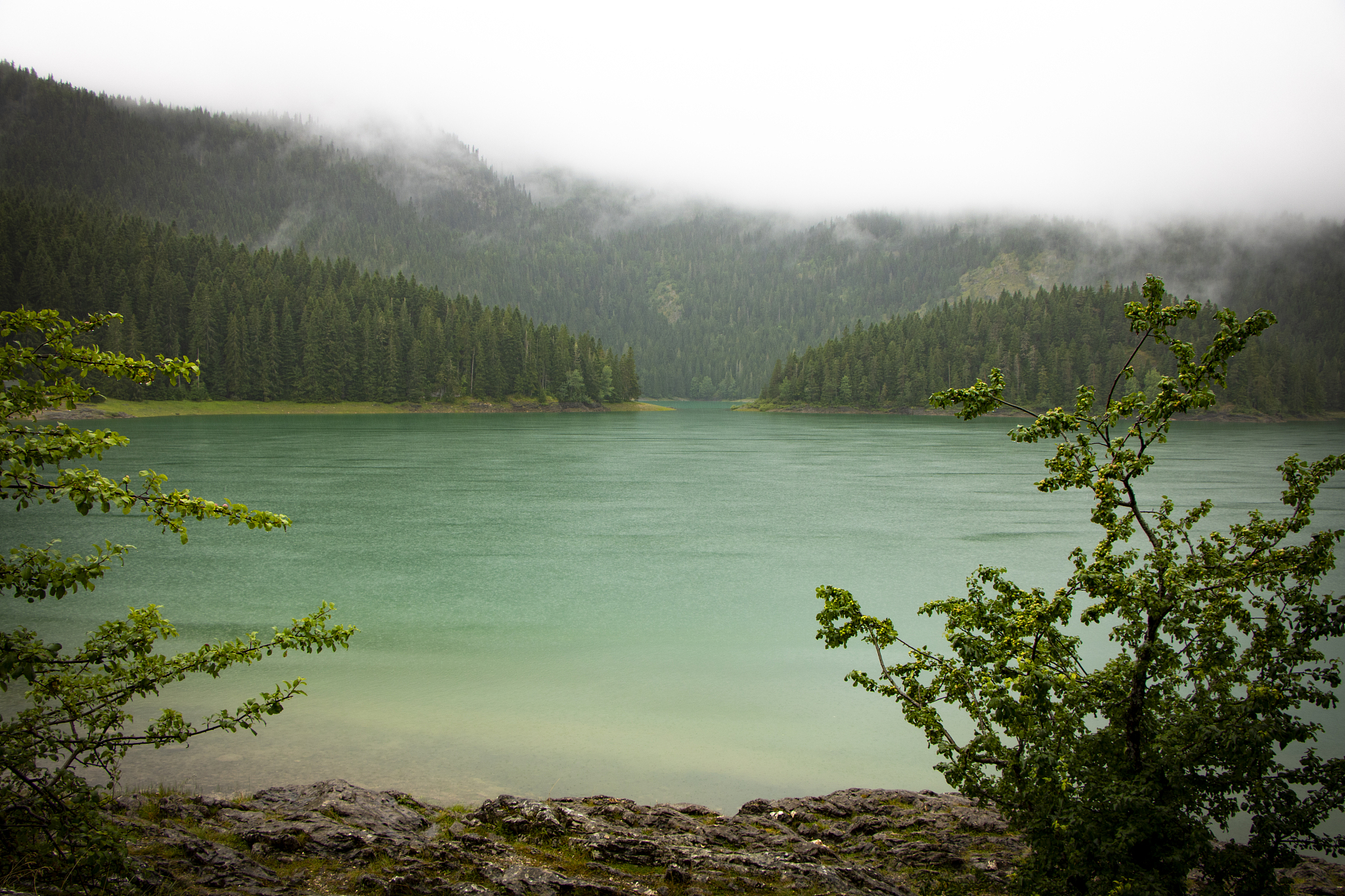 black lake in durmitor national park, montenegro. beautiful natu