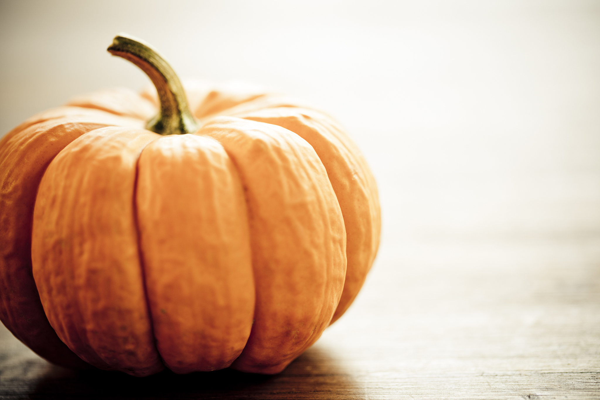 南瓜、植物基酸奶、大豆产品名大全：30个创意谐音任你选