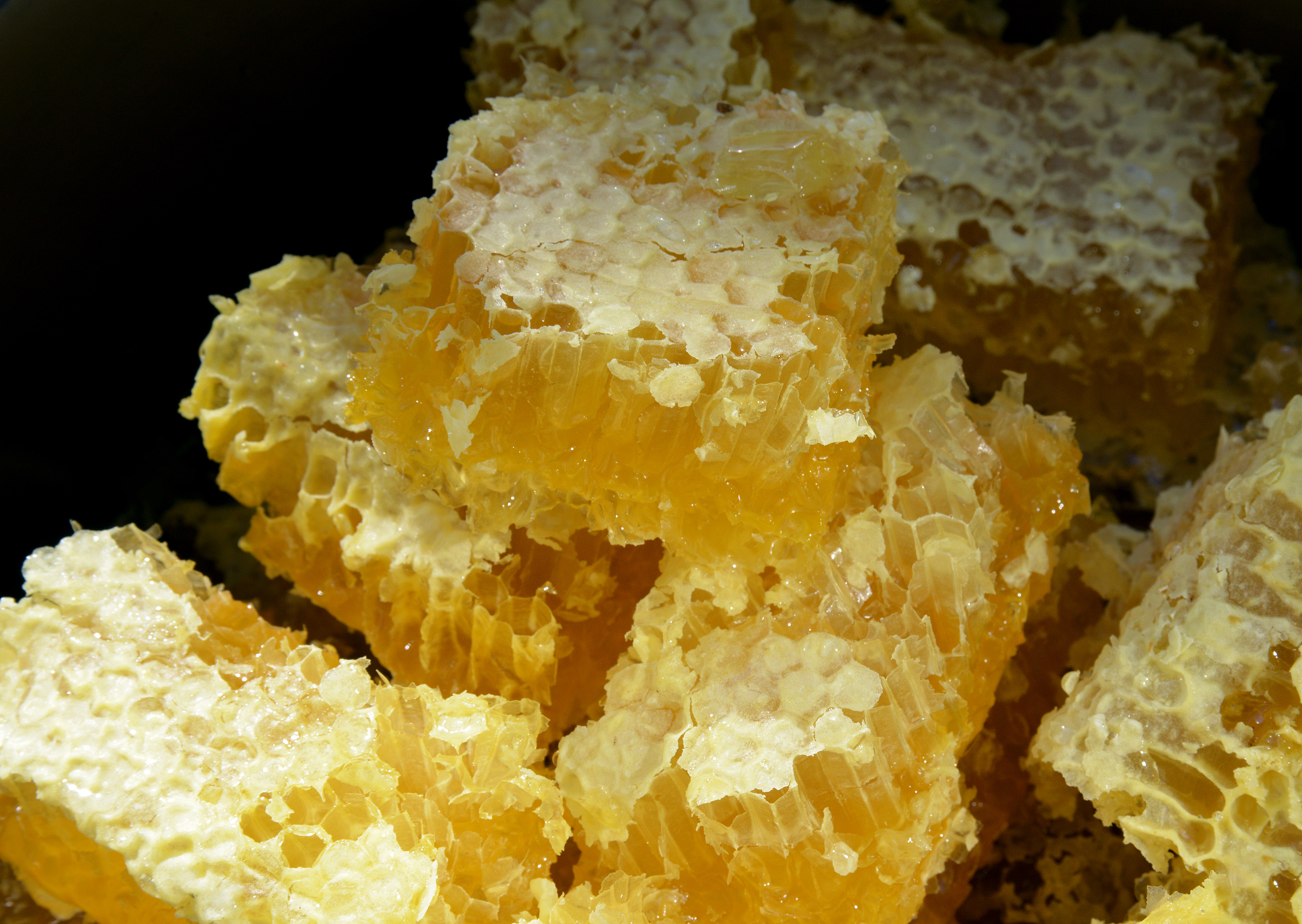 honey on honeycomb