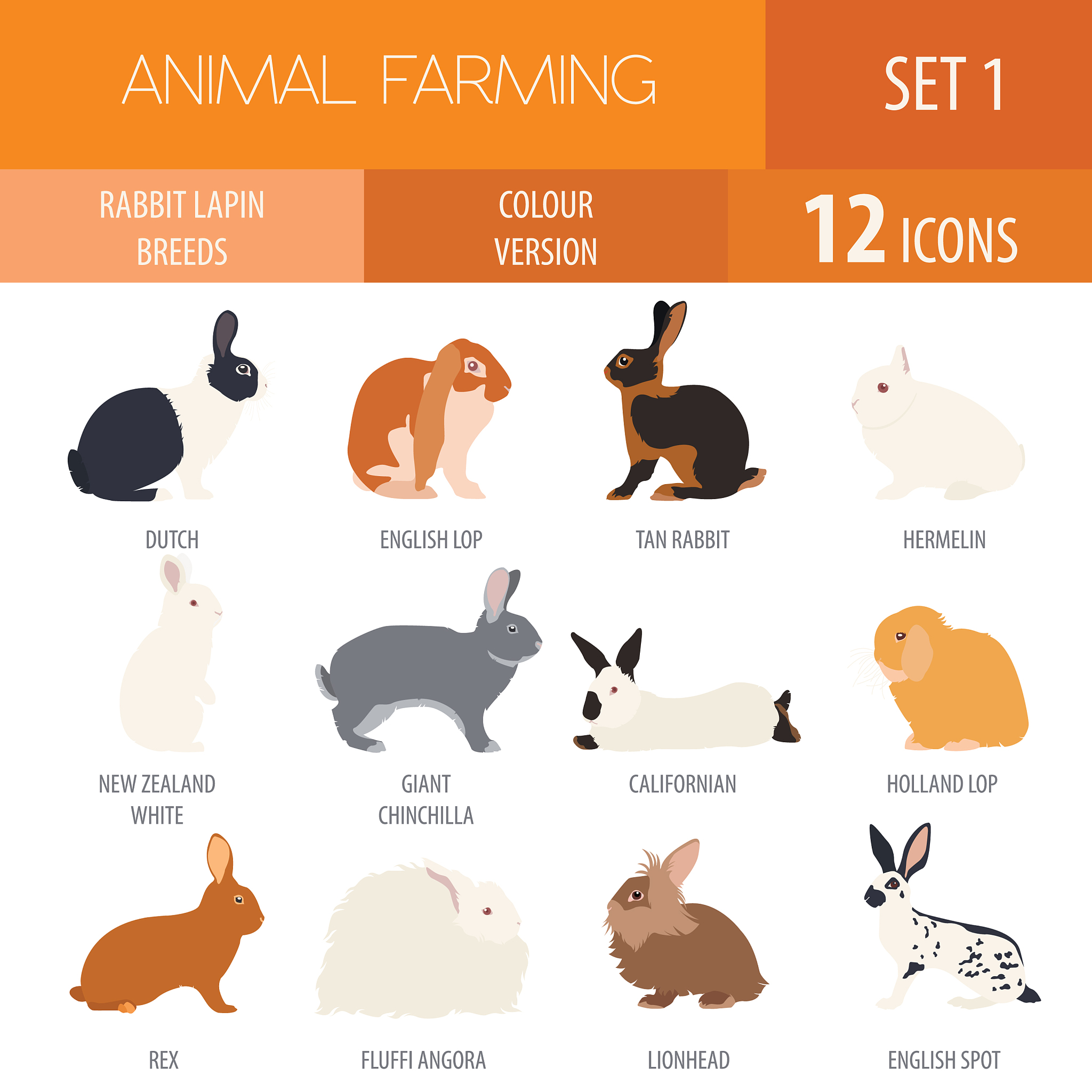 Animal Model Preparation for Medical Research - Rabbits and Rats