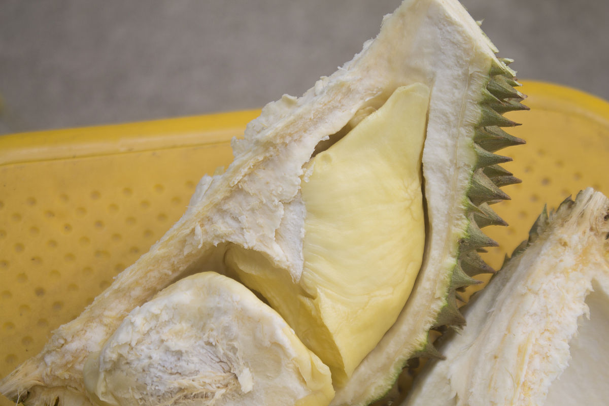 熟榴莲怎么存放能放几天