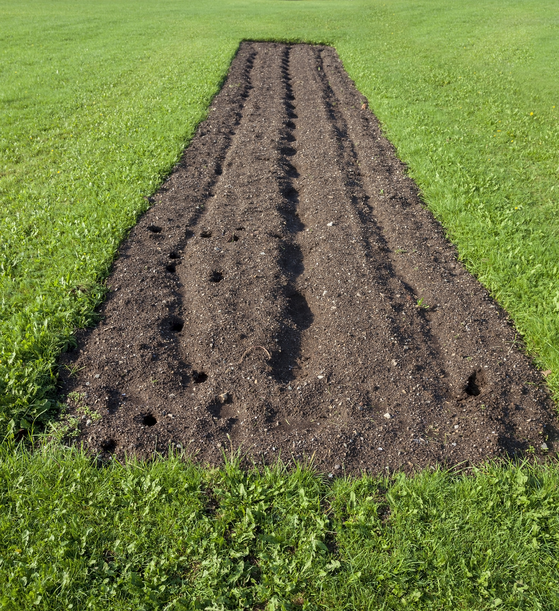 In field OPD combined with an integrated crop-soil system management could realize more than 90 of the yield potential按照field crops research期刊的标准润色上面句子一句话。