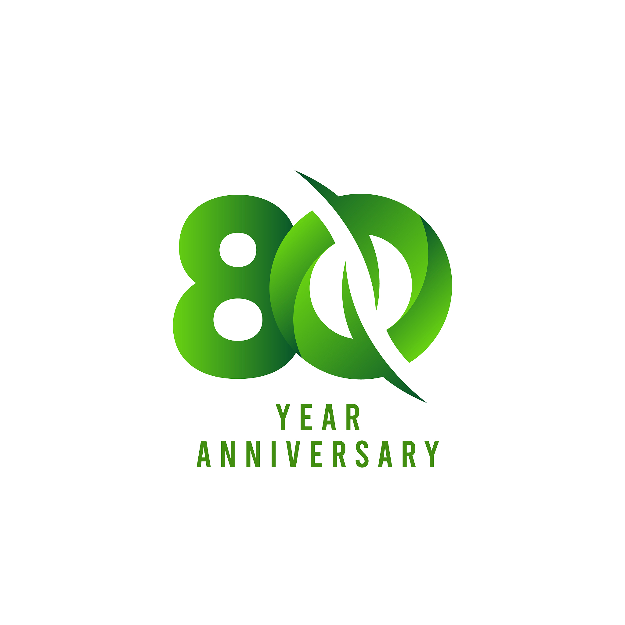 80 years anniversary green celebration vector template design il