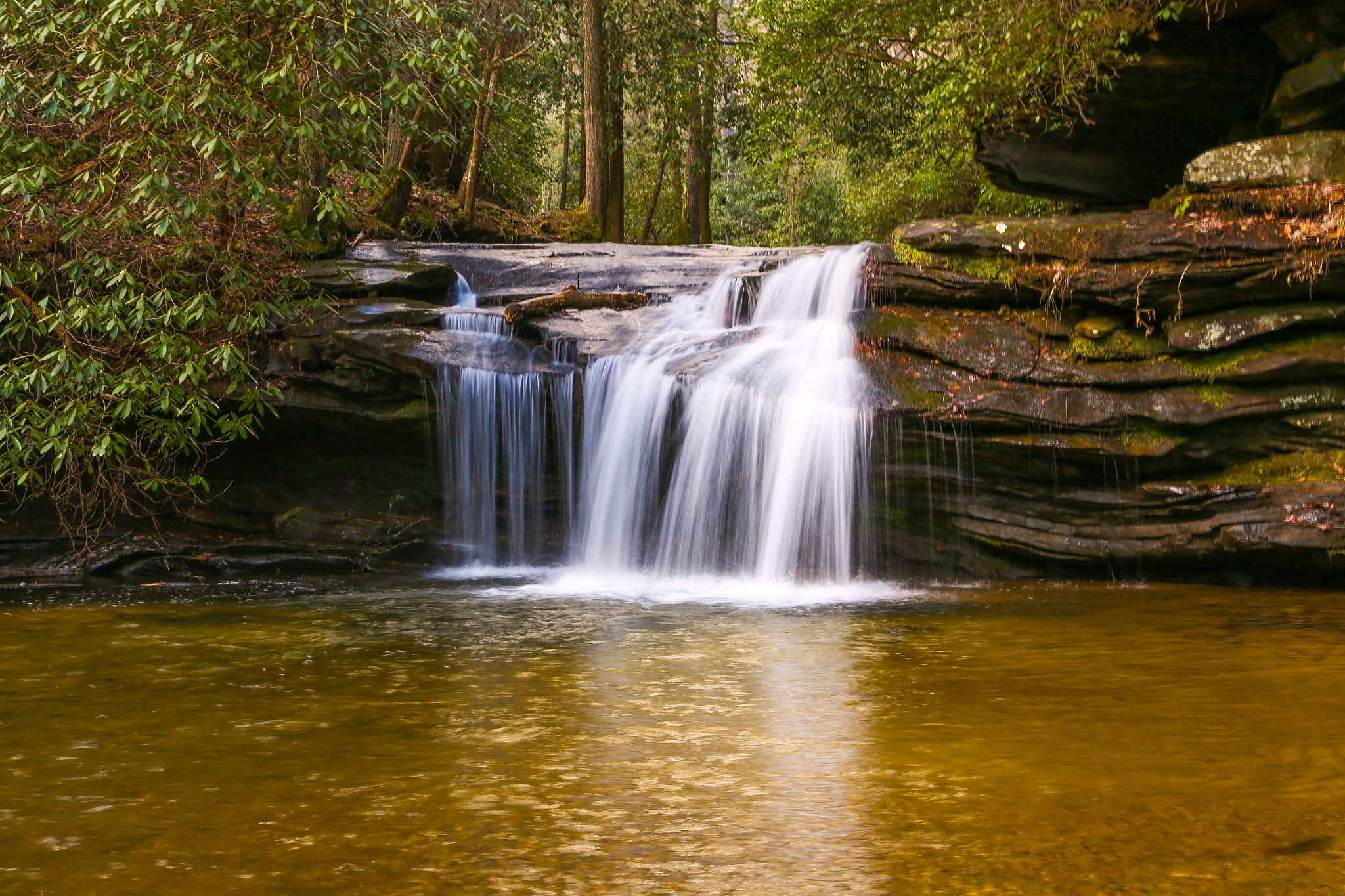 重庆工业职业技术学院旅游管理专业怎么样都要学些什么