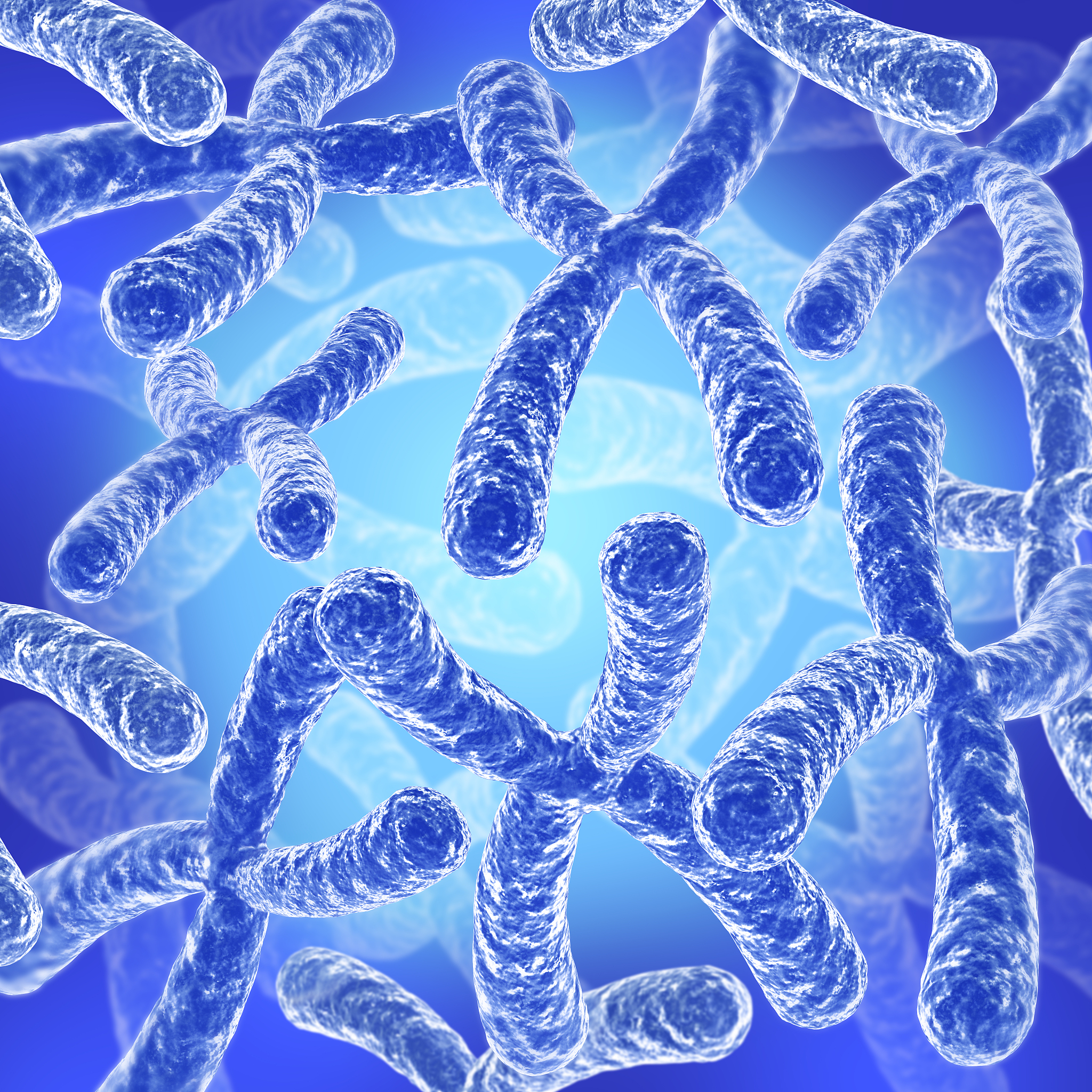 1000字基础医学：连接基础研究与临床应用的桥梁