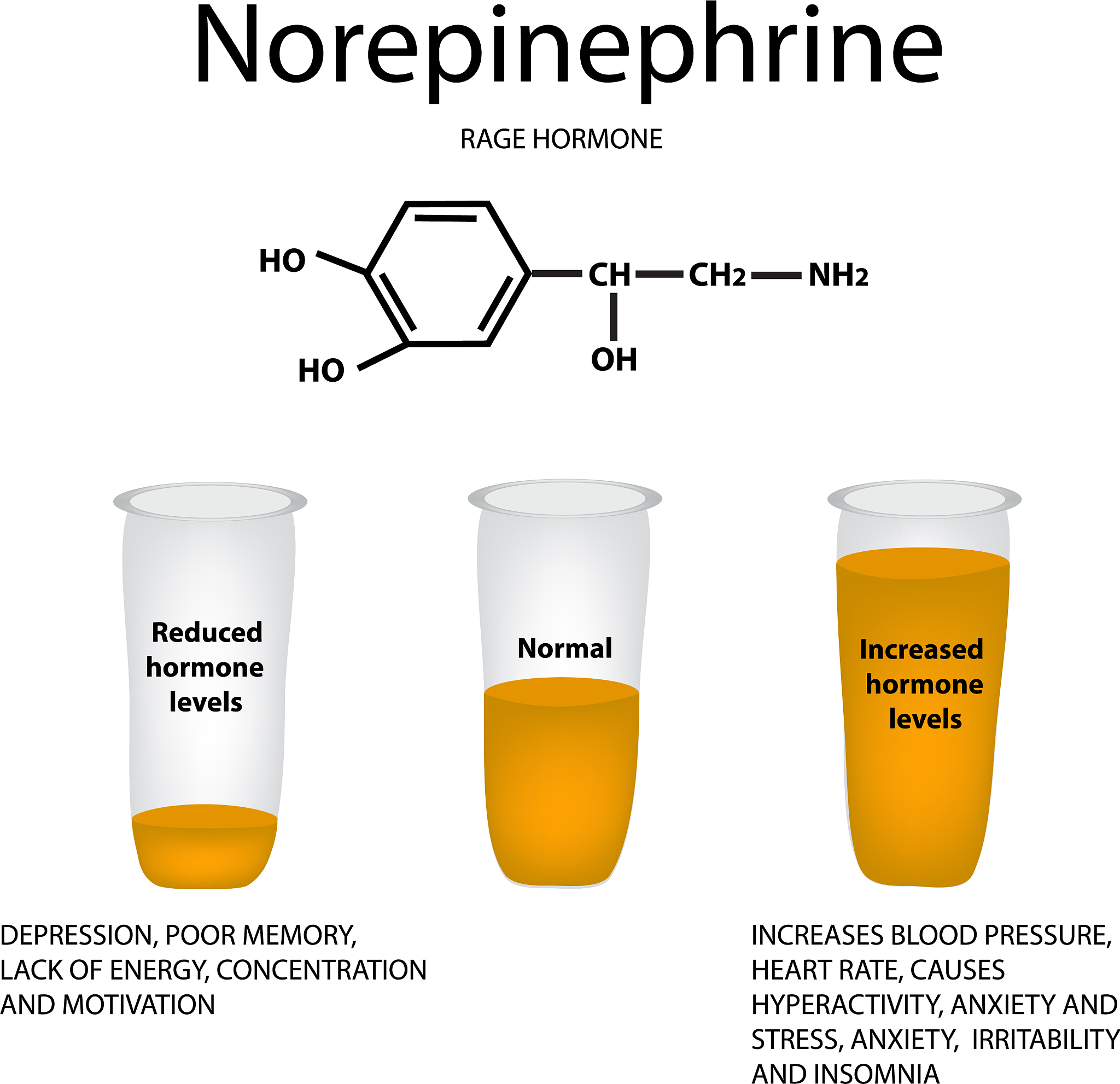 Reassembled Adhesives Based on Epoxidized Soybean Oil with Dynamic Diels-Alder Bonds: Synthesis, Properties, and Self-Healing Performance