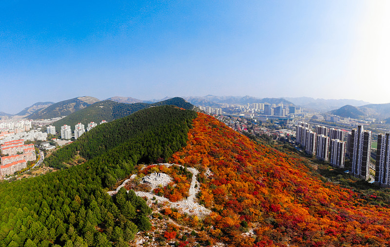 山东山矿技工学校2019年招生专业：机电、建筑、矿业、信息技术