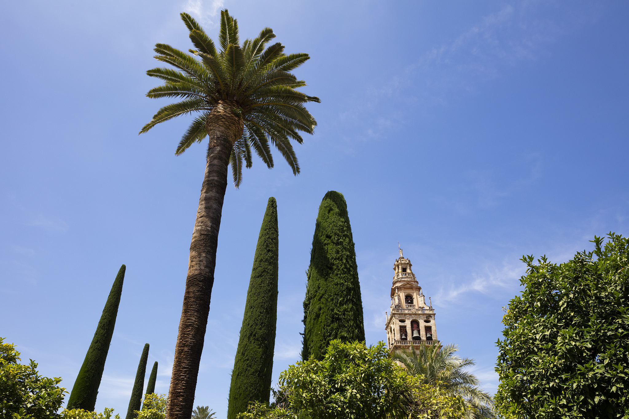 spain, andalusia, cordoba, torre del alminar of mosque?cathedral
