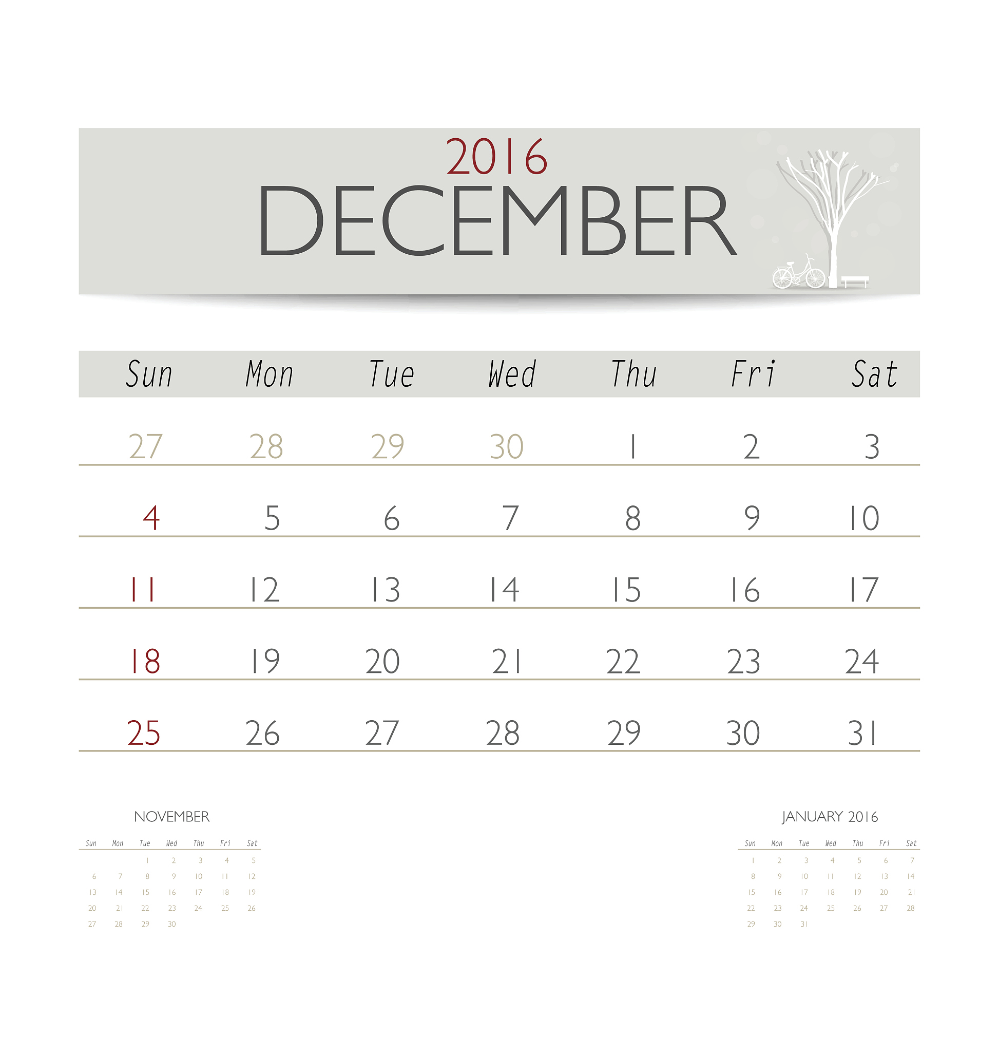 日期格式转换：将出生日期更改为月/日/年格式