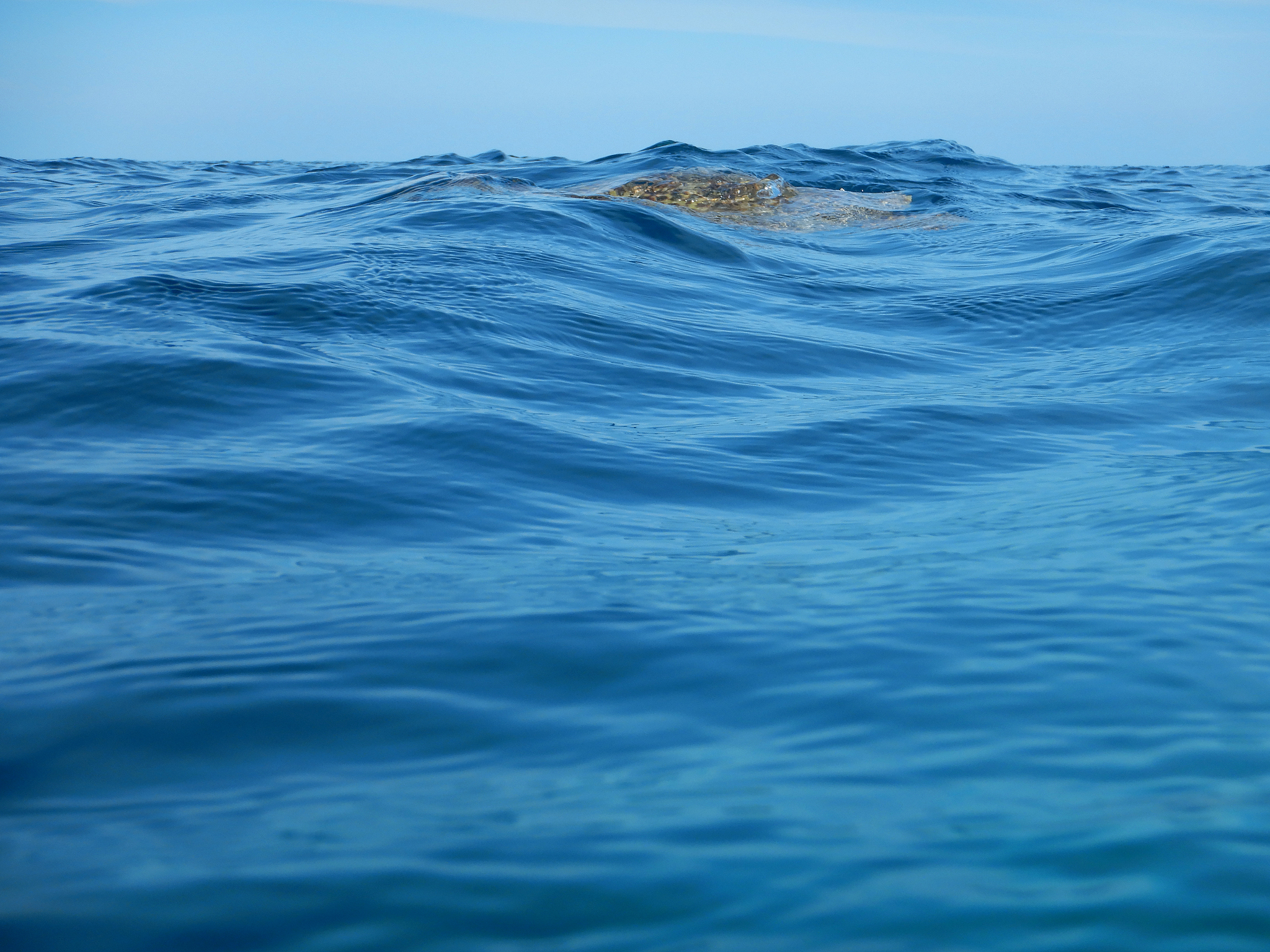 广东海洋大学船舶与海洋工程专业怎么样