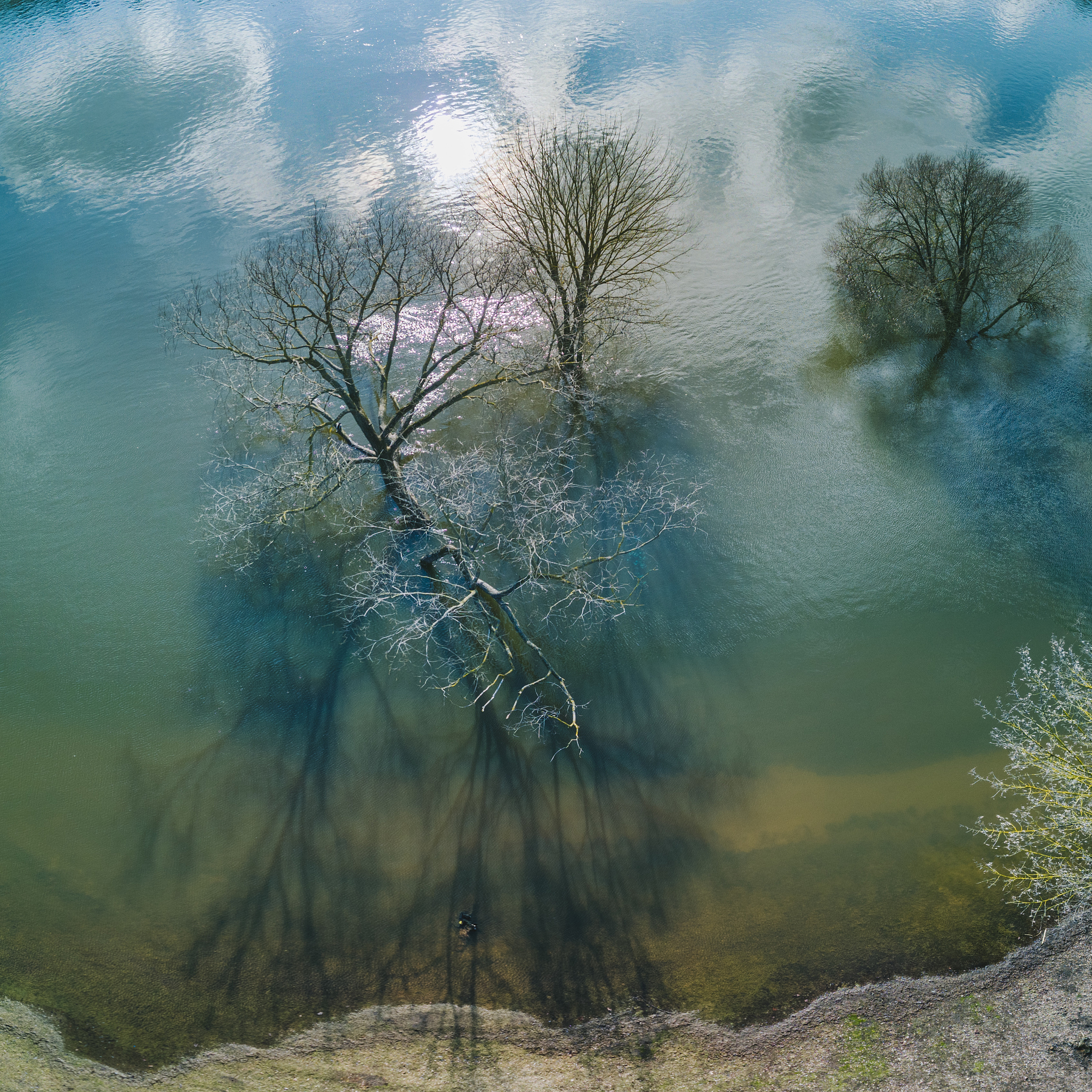 以文学作品中常见的一种植物花卉意象为例谈谈香草意象对后世文学的影响