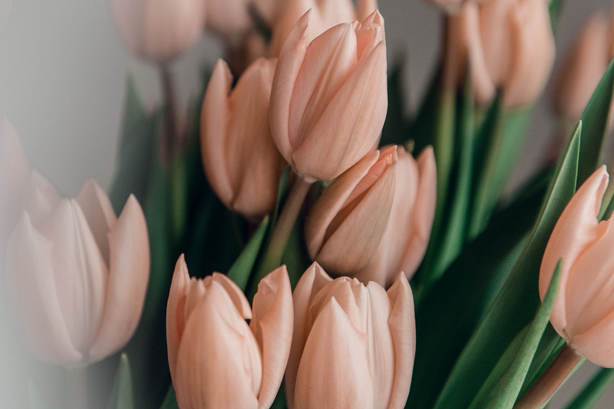 写一个幼儿园中班关于母亲节的公开课教案大纲