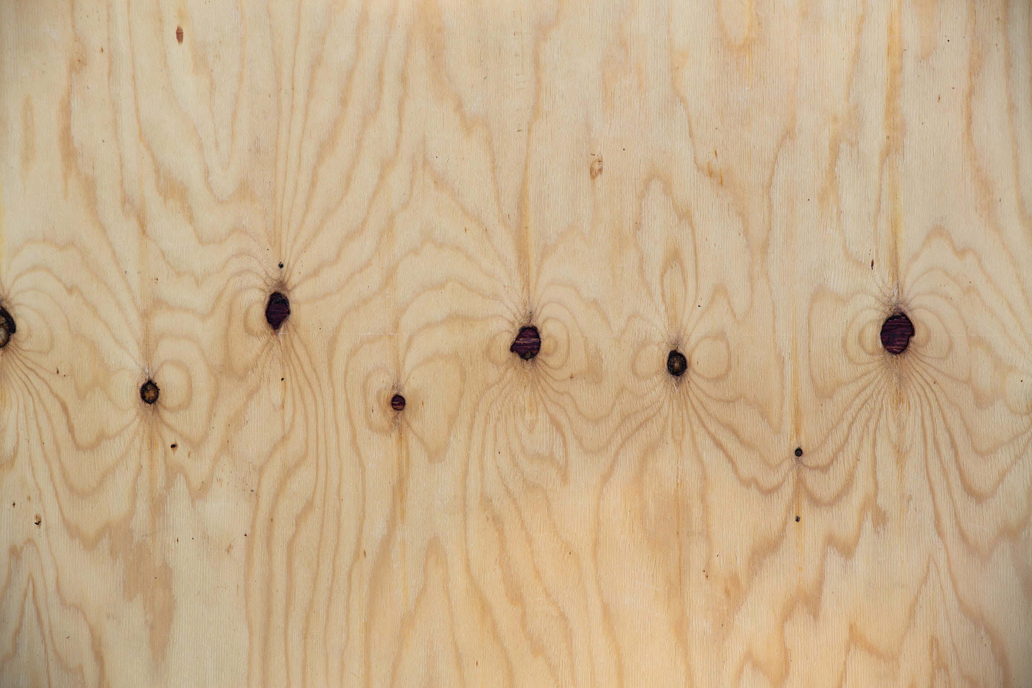 好青年“每周一星”推报说明