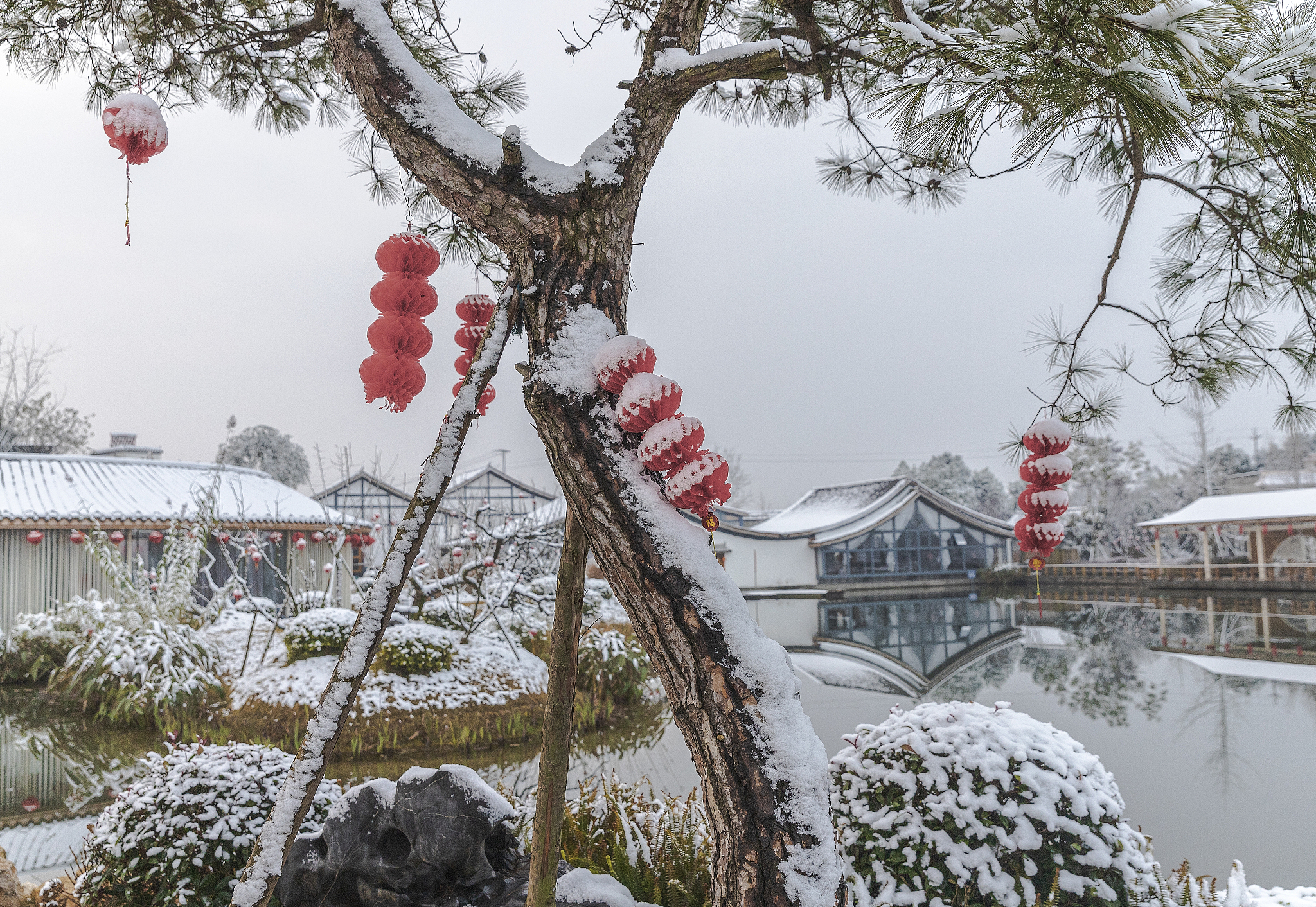 成都卫生学校2021年招生专业设置 - 医学人才培养的摇篮