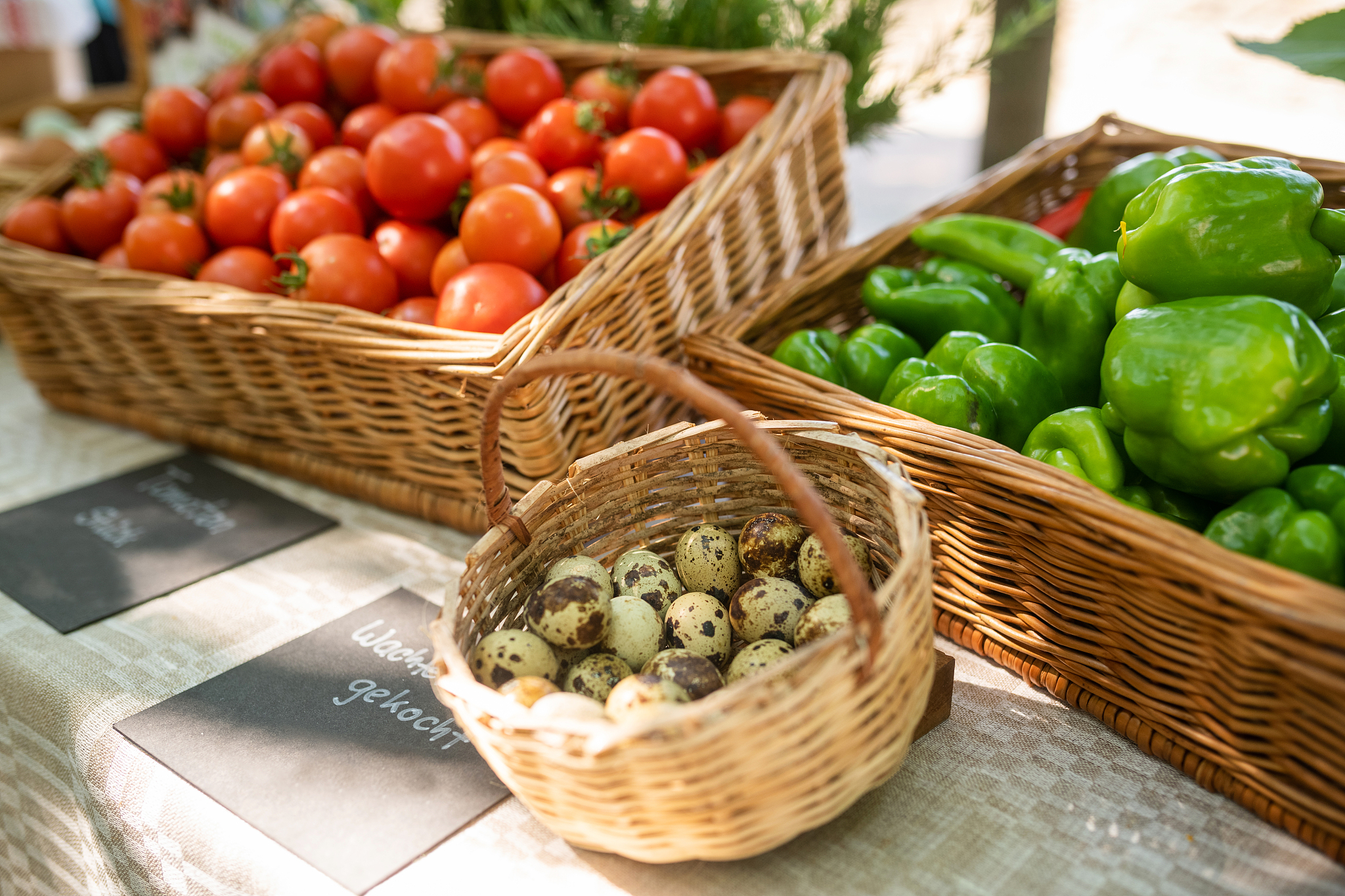 写一段西红柿炒鸡蛋程式代码