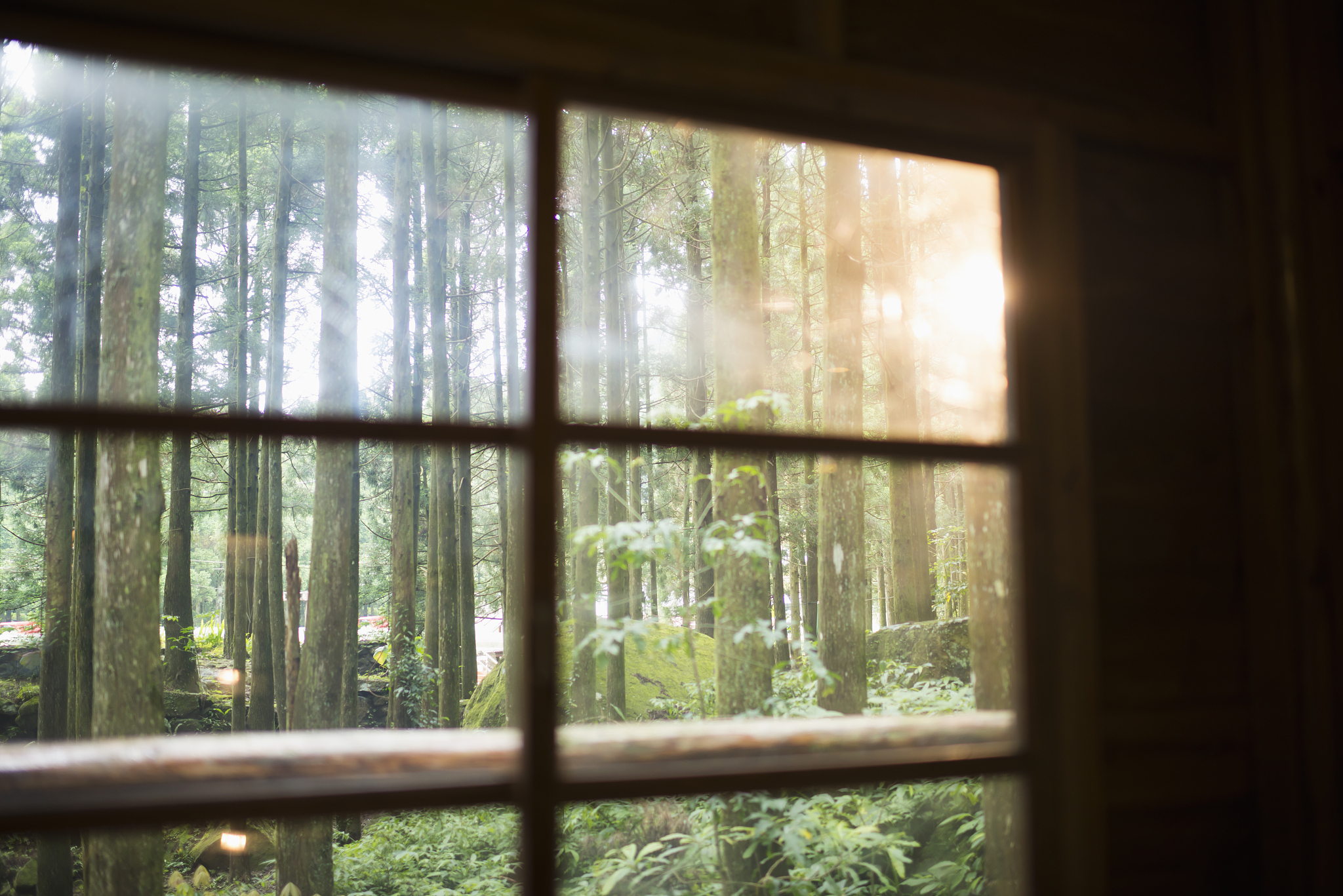 窗户与人类繁衍的密不可分关系