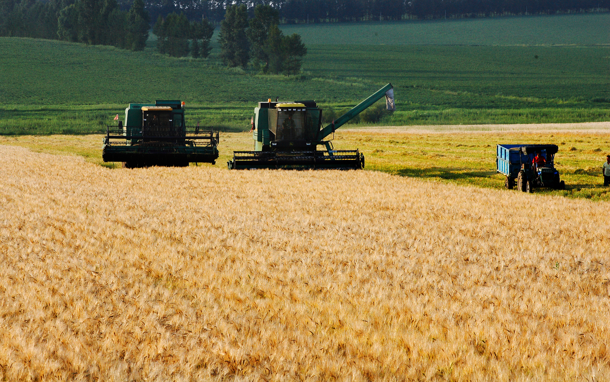 黑龙江省初中生中专学校选择指南：专业、教学质量、就业前景