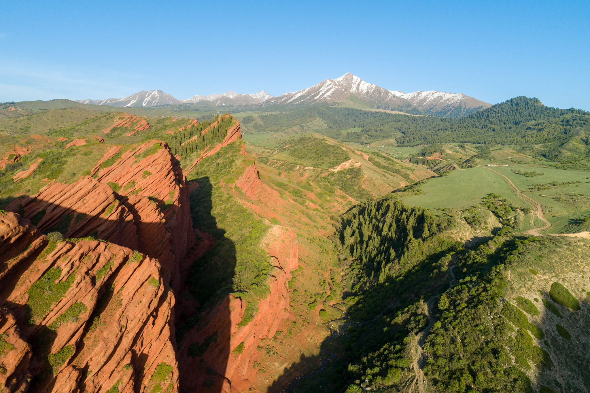 red rocks, coniferous forest and mountains on background. aerial