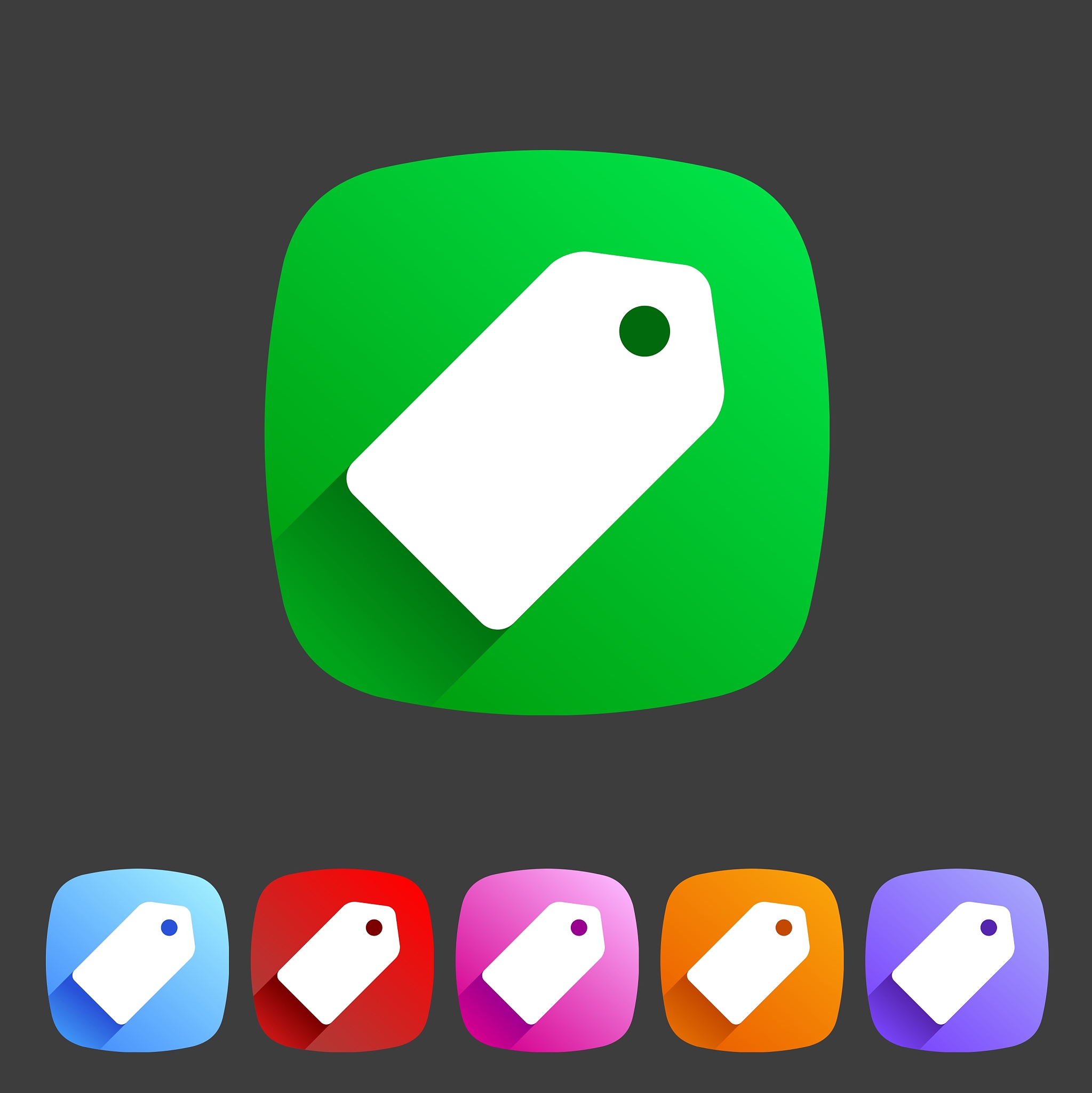 price tag flat icon label