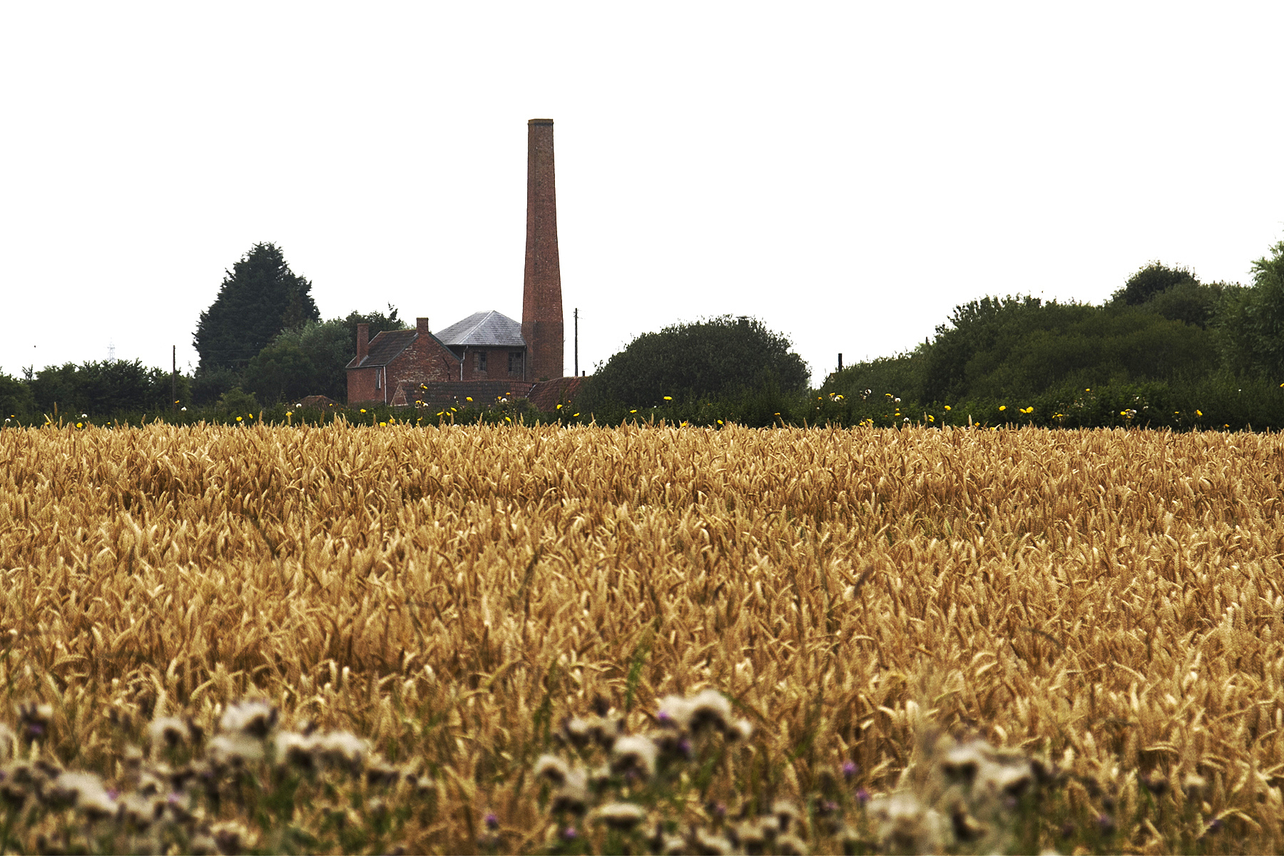 水泵机组纵向布置适合哪种泵站？