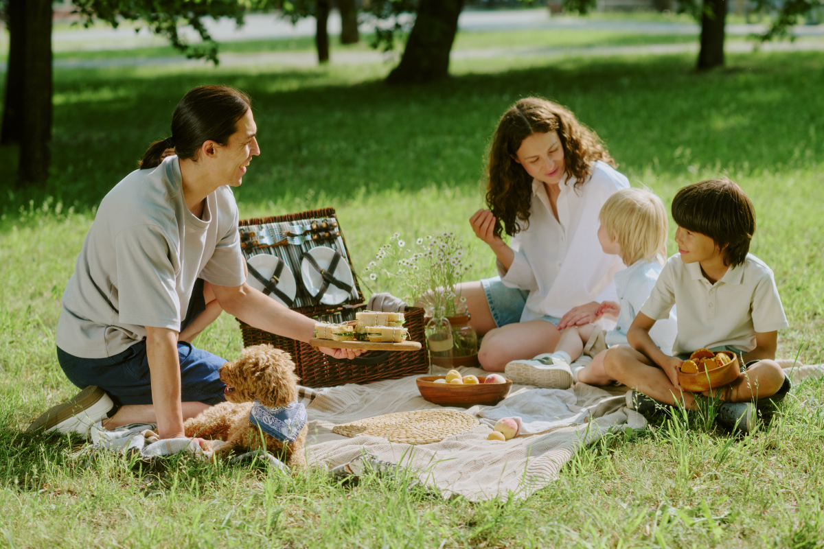 映像与家庭户外乐趣关联