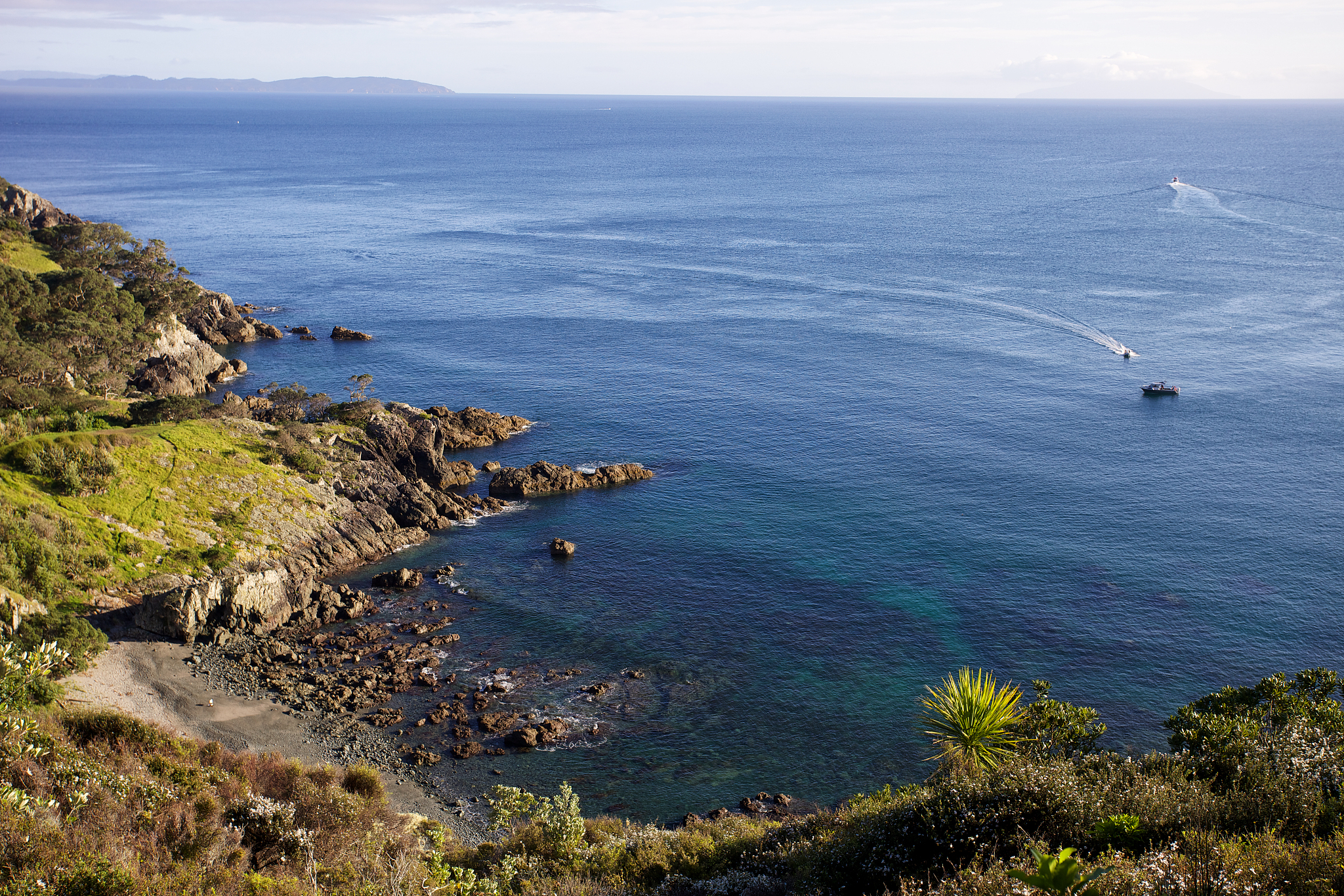 rocky cove on tiritiri matangi island in the hauraki gulf