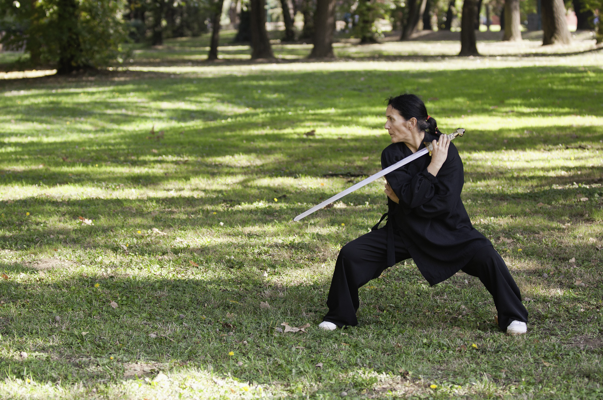 martial arts sword master