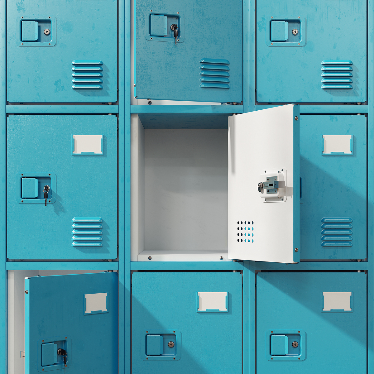 指纹识别储物柜国外研究进展：技术、安全与用户体验