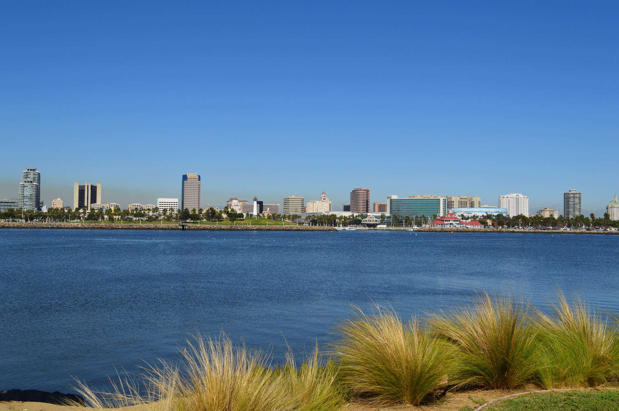 skyline seen from across bay